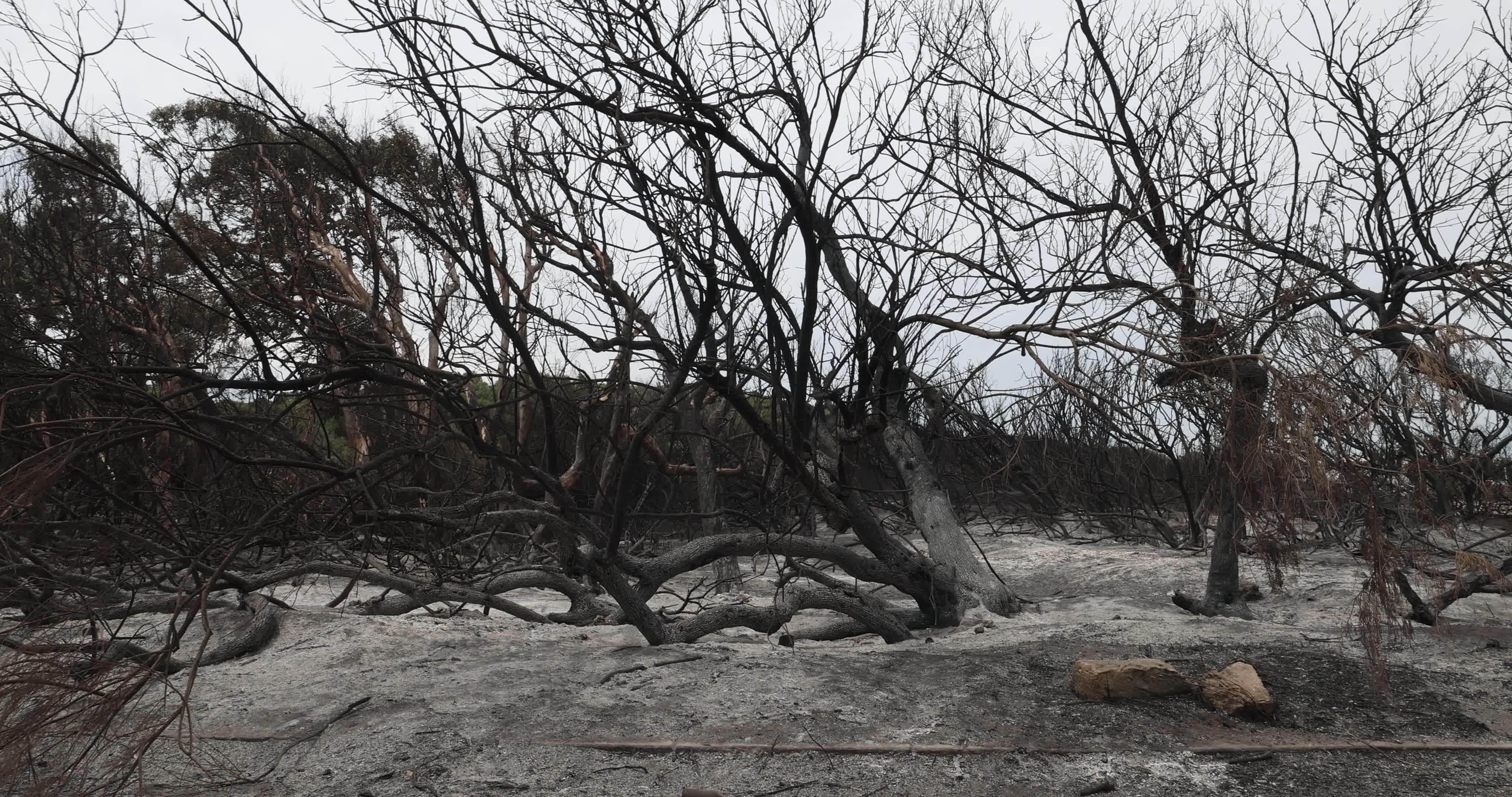 Aftermath Of Wildfire In San Cataldo, Lecce