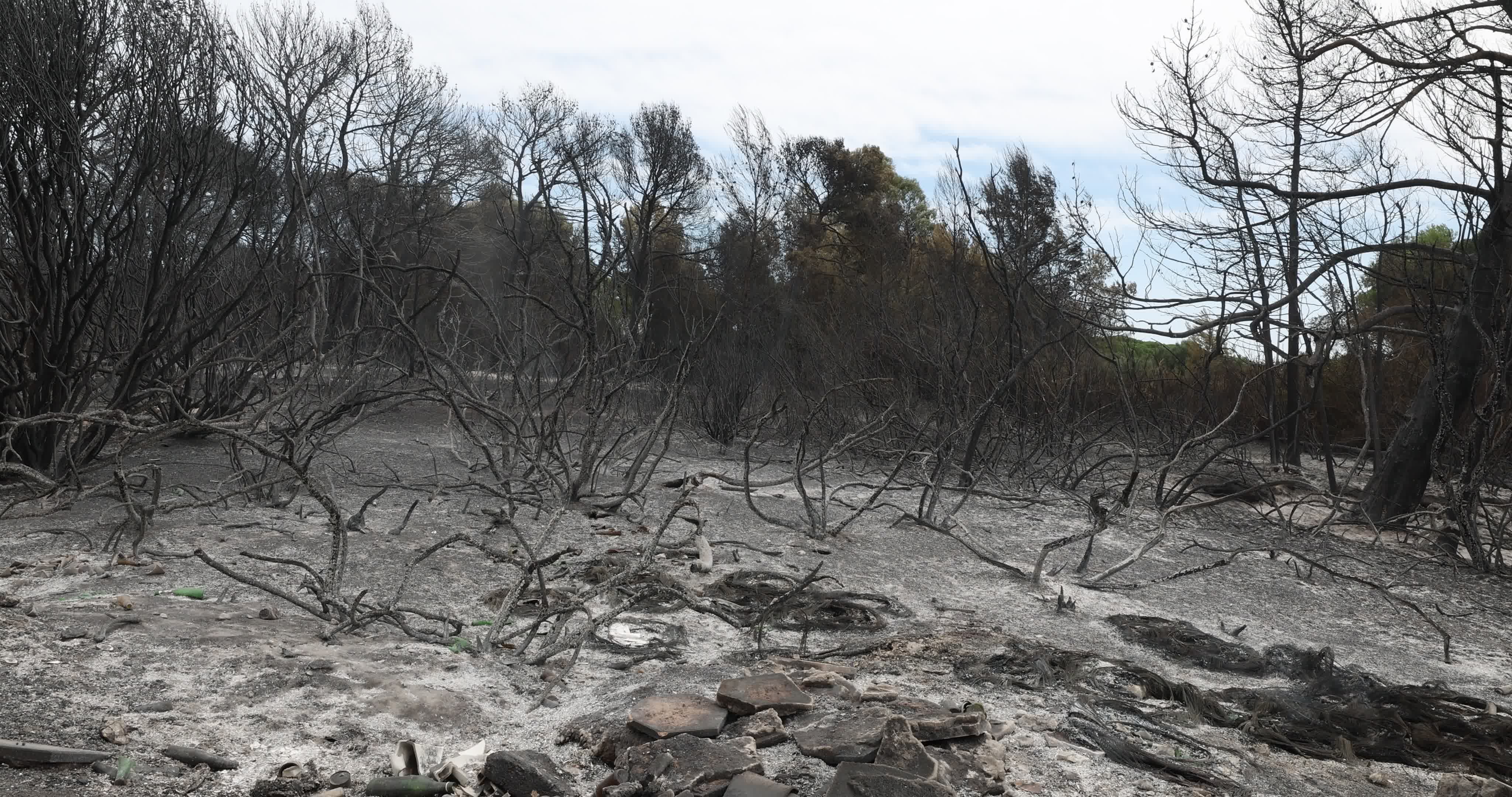 Aftermath Of Wildfire In San Cataldo, Lecce