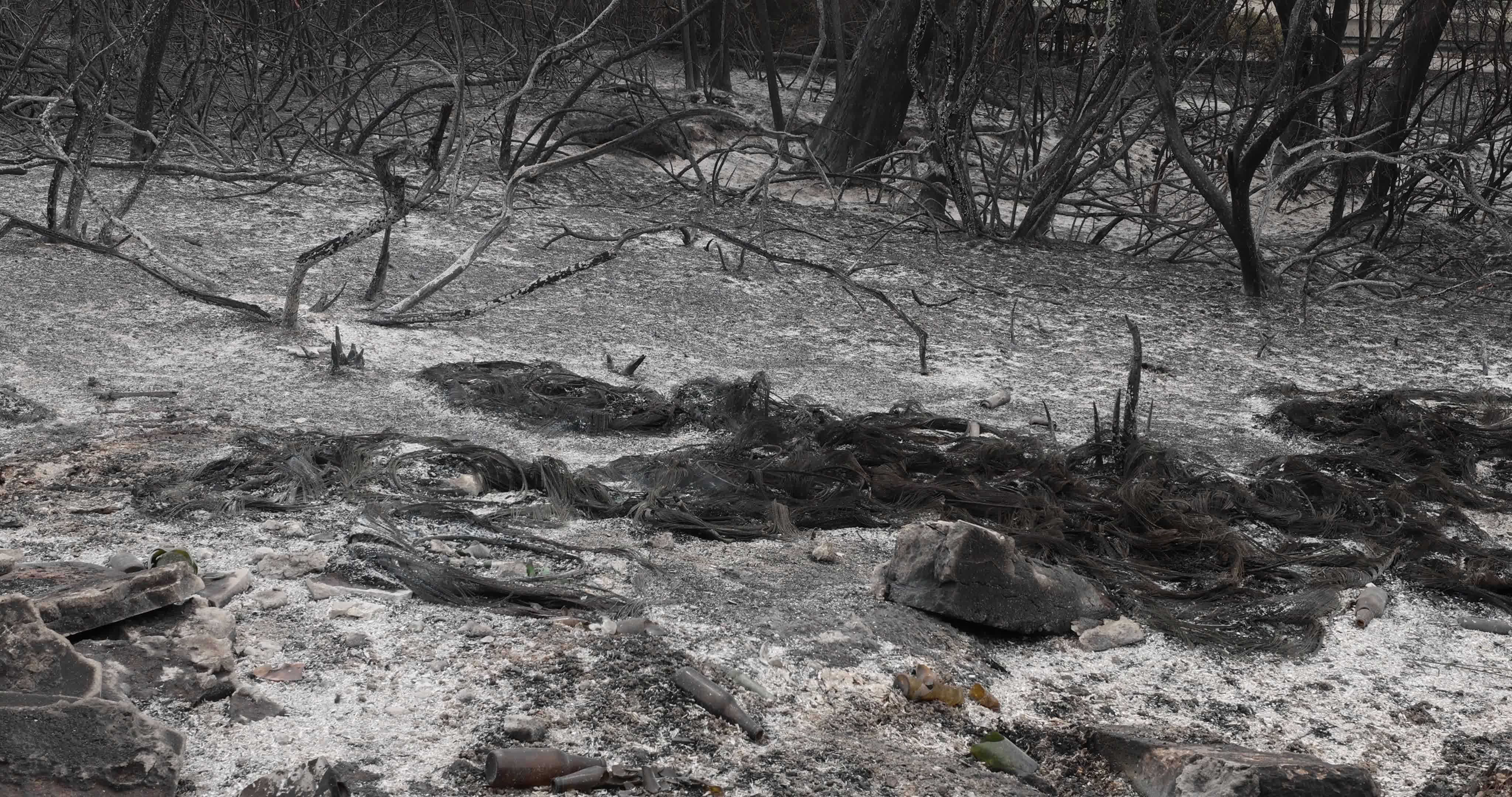 Aftermath Of Wildfire In San Cataldo, Lecce