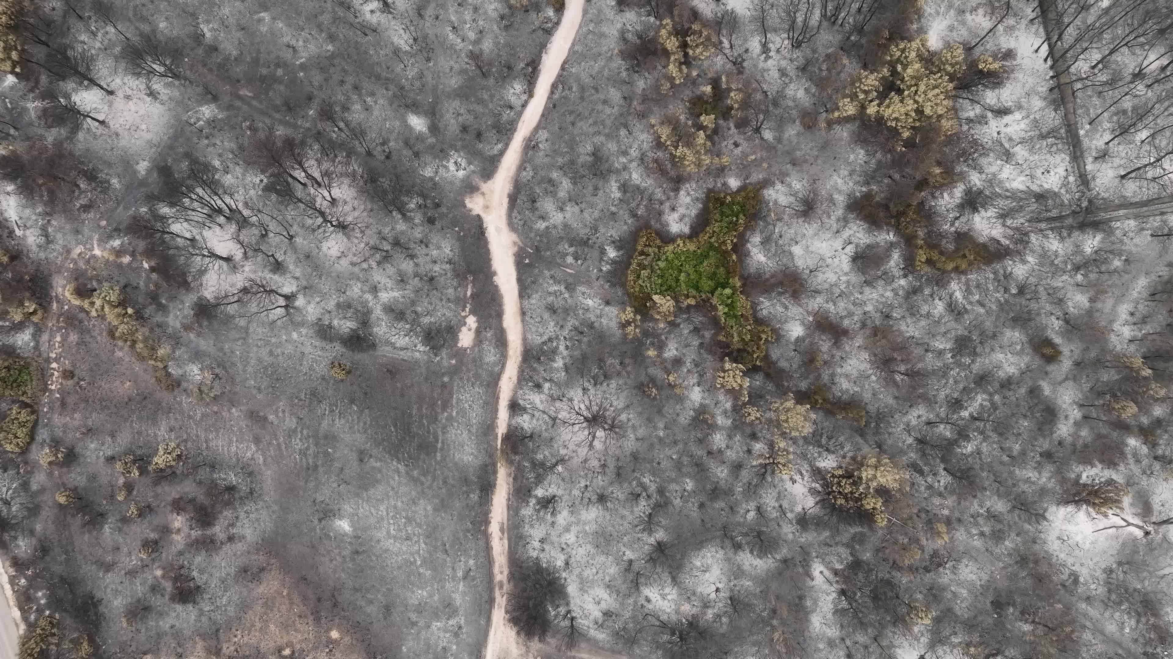 Drone View of Wildfire Aftermath in San Cataldo, Lecce