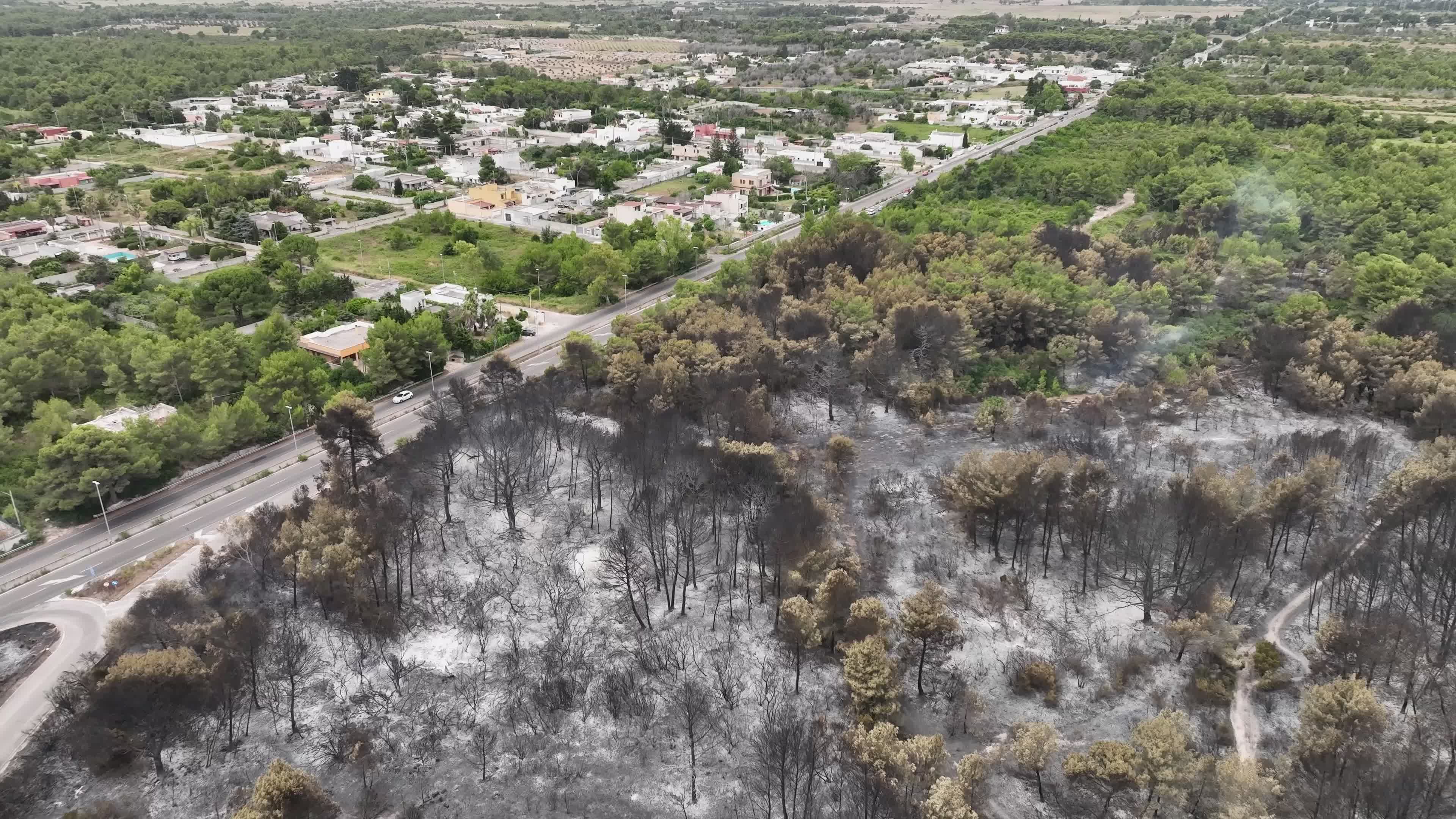 Drone View of Wildfire Aftermath in San Cataldo, Lecce