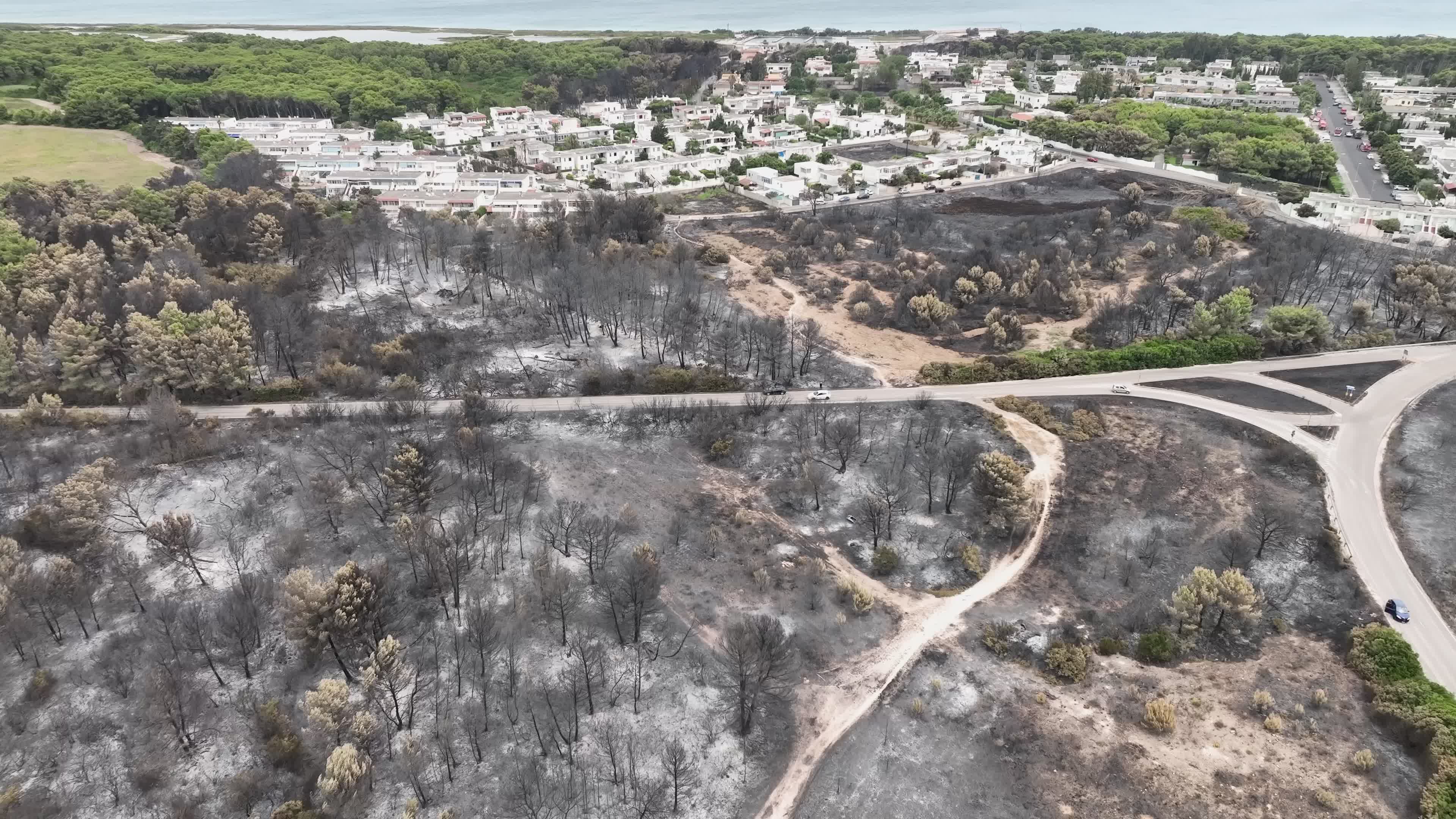 Drone View of Wildfire Aftermath in San Cataldo, Lecce
