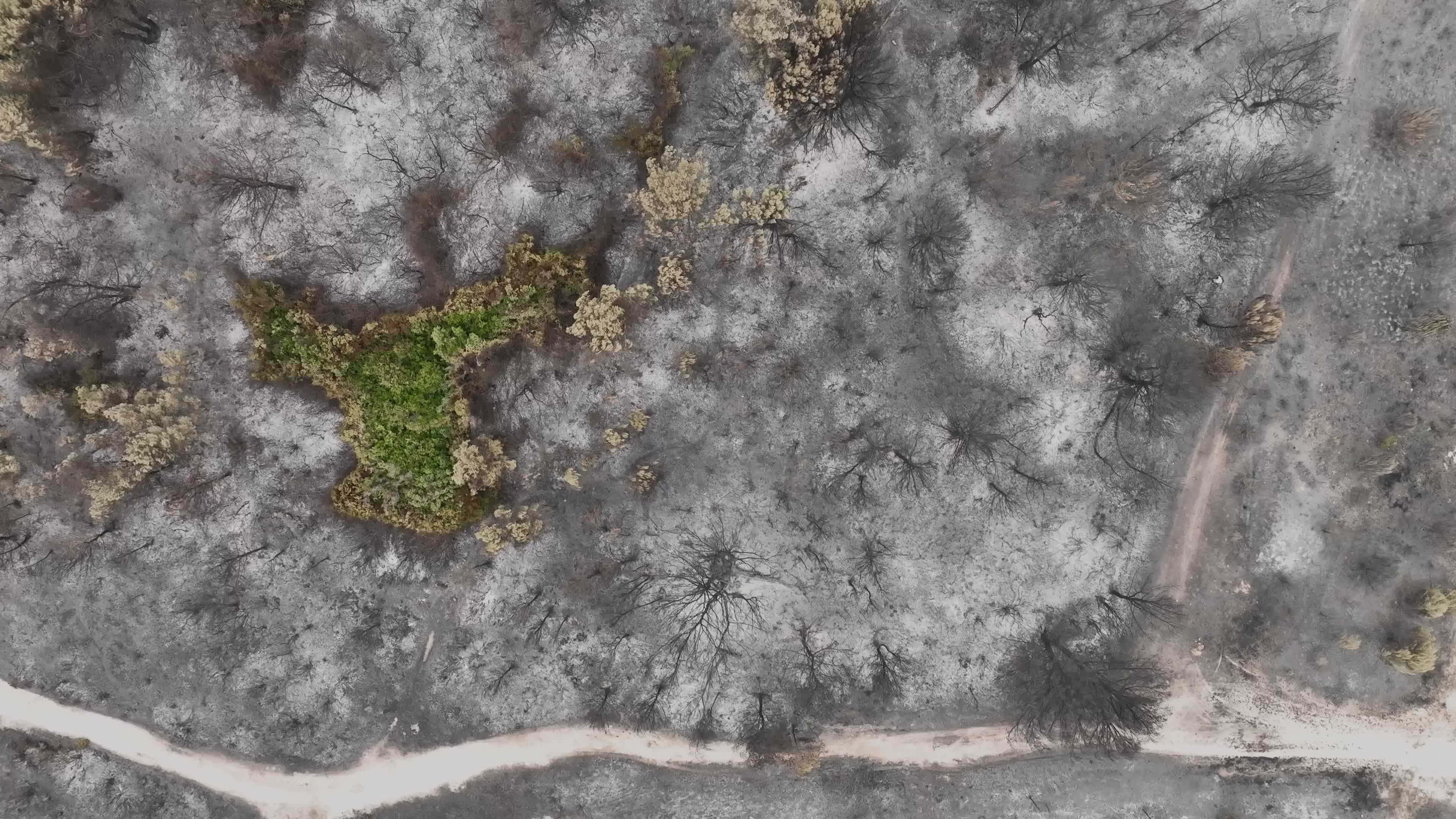 Drone View of Wildfire Aftermath in San Cataldo, Lecce