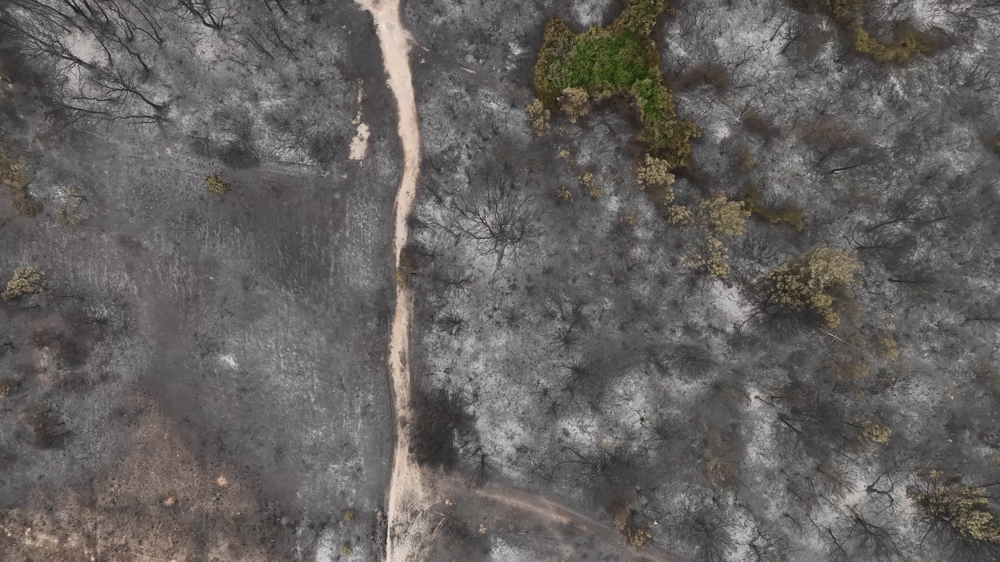 Drone View of Wildfire Aftermath in San Cataldo, Lecce