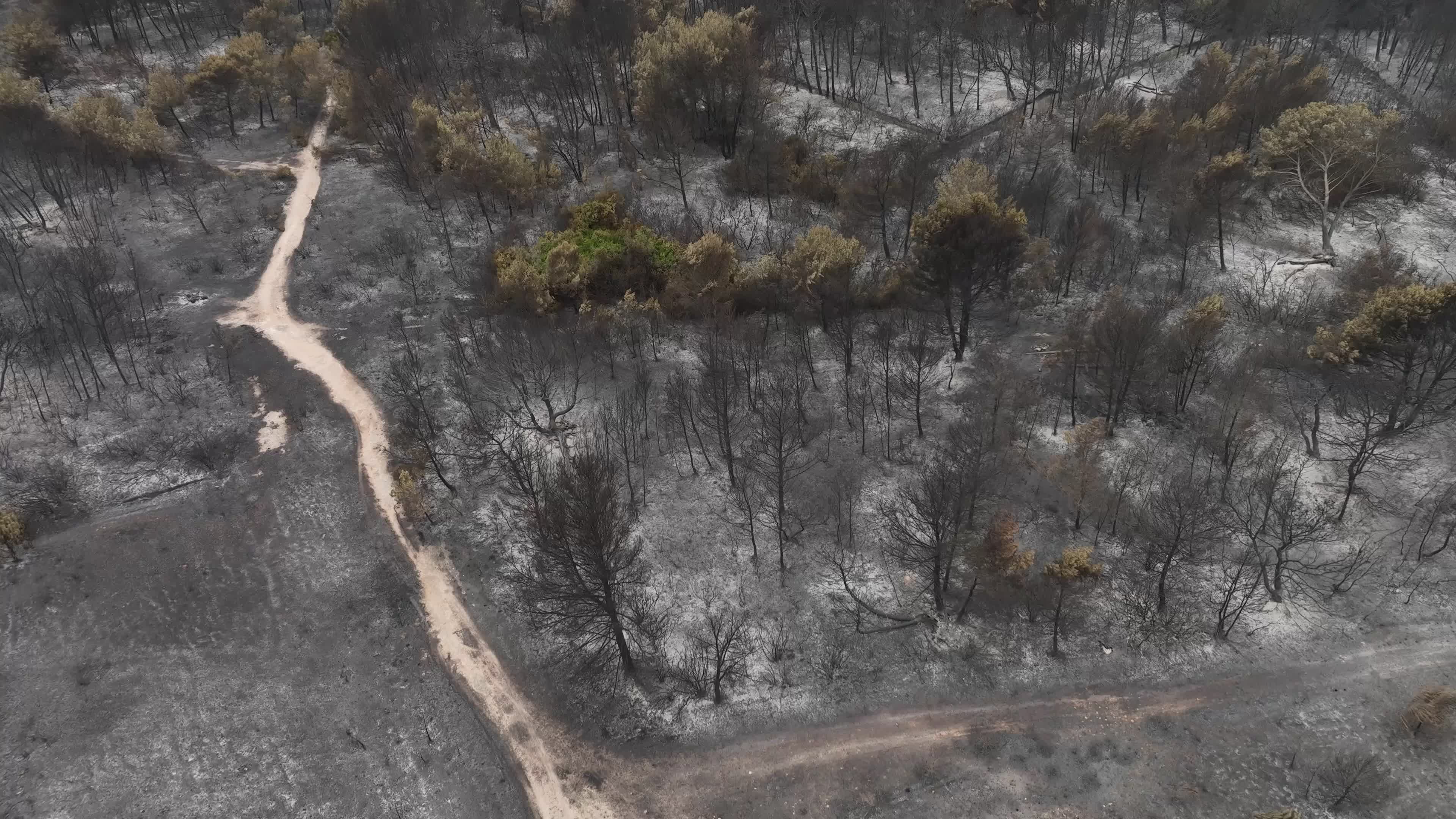 Drone View of Wildfire Aftermath in San Cataldo, Lecce