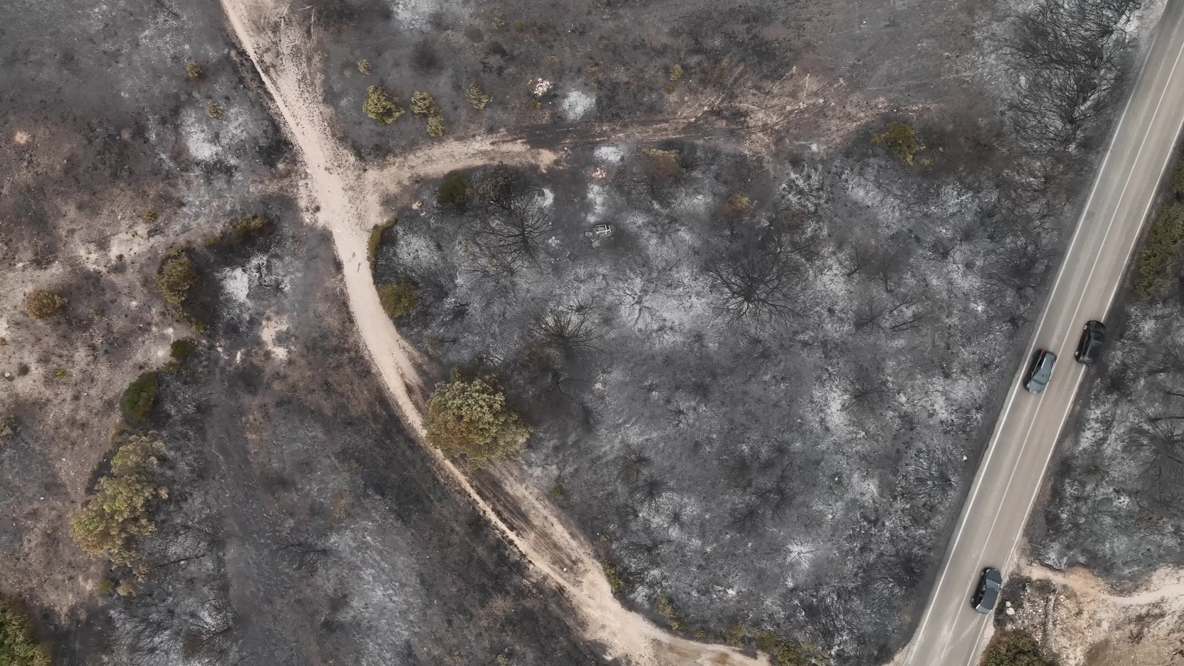 Drone View of Wildfire Aftermath in San Cataldo, Lecce
