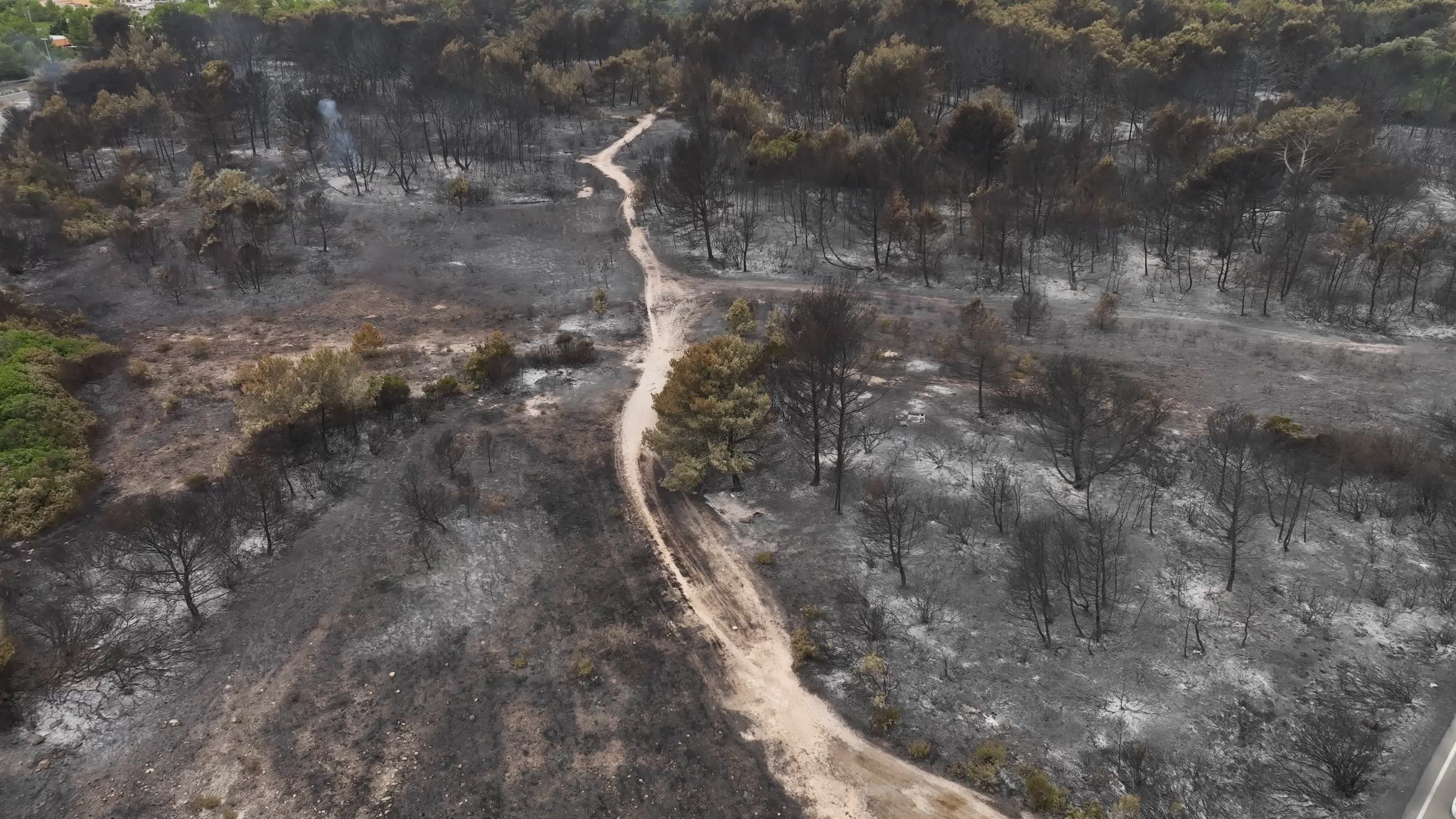 Drone View of Wildfire Aftermath in San Cataldo, Lecce
