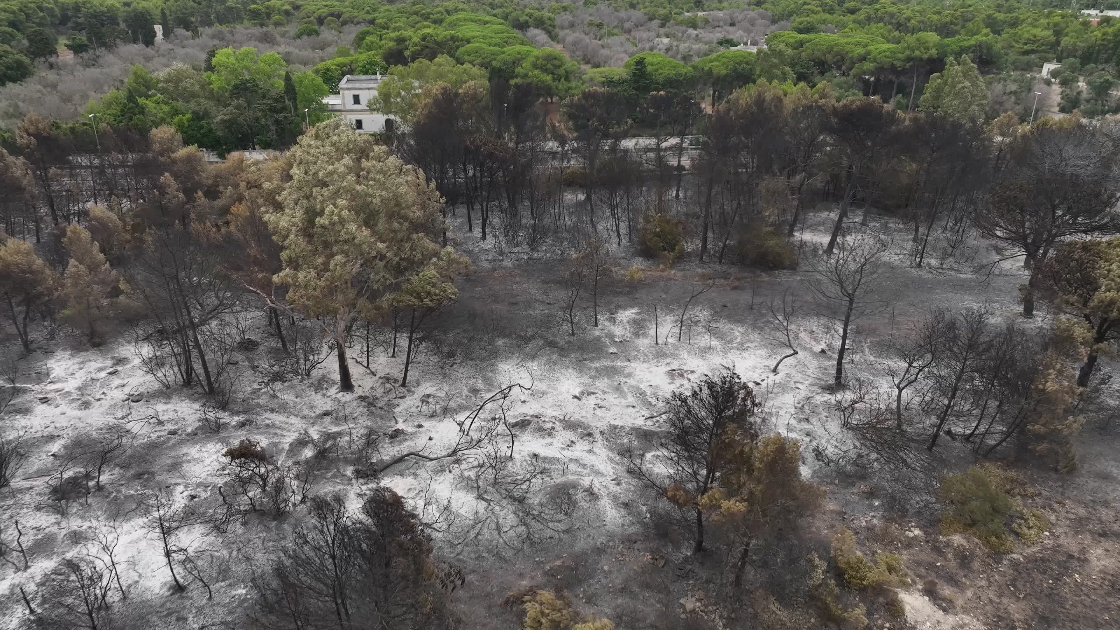 Drone View of Wildfire Aftermath in San Cataldo, Lecce