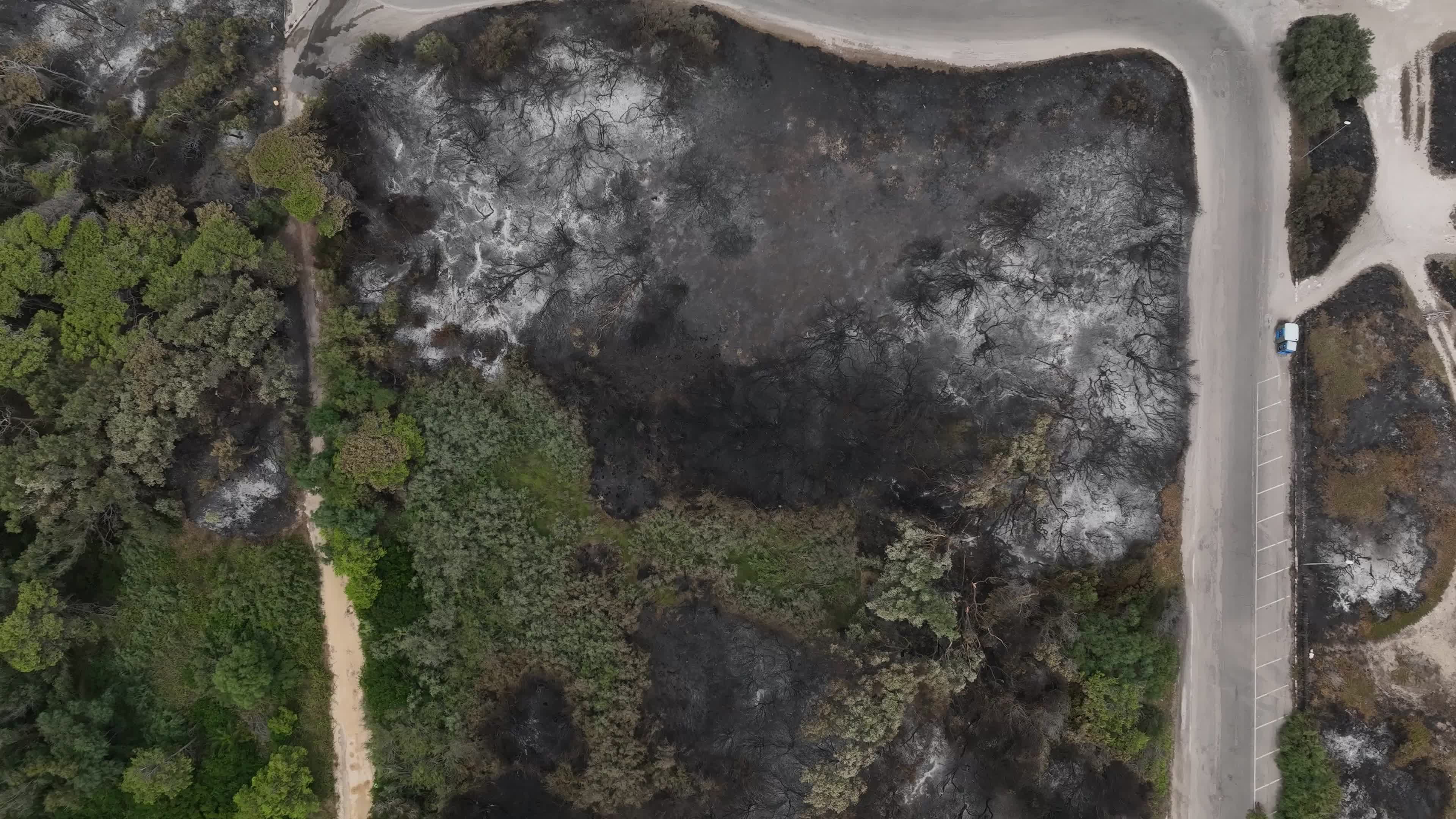 Drone View of Wildfire Aftermath in San Cataldo, Lecce