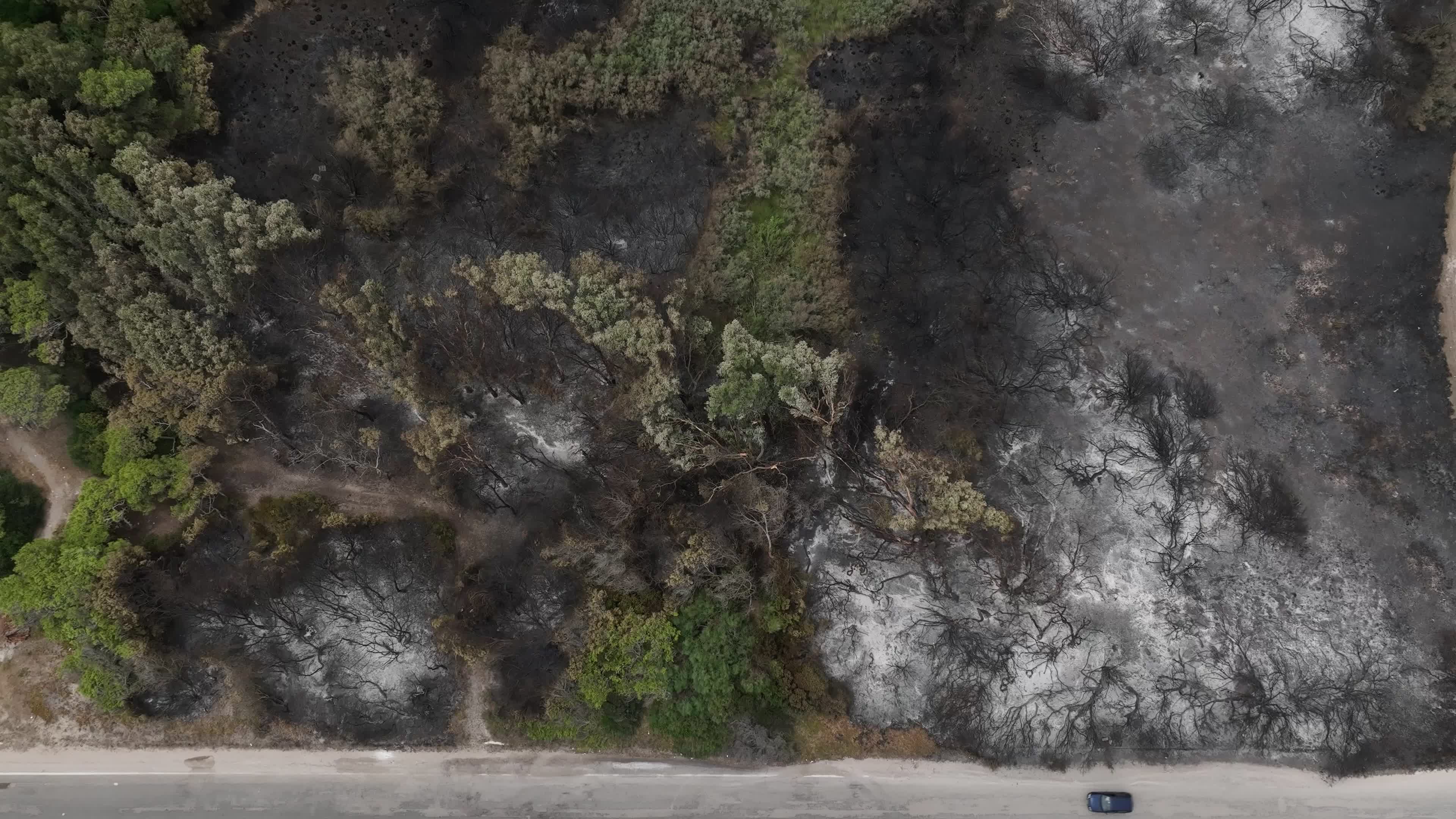 Drone View of Wildfire Aftermath in San Cataldo, Lecce