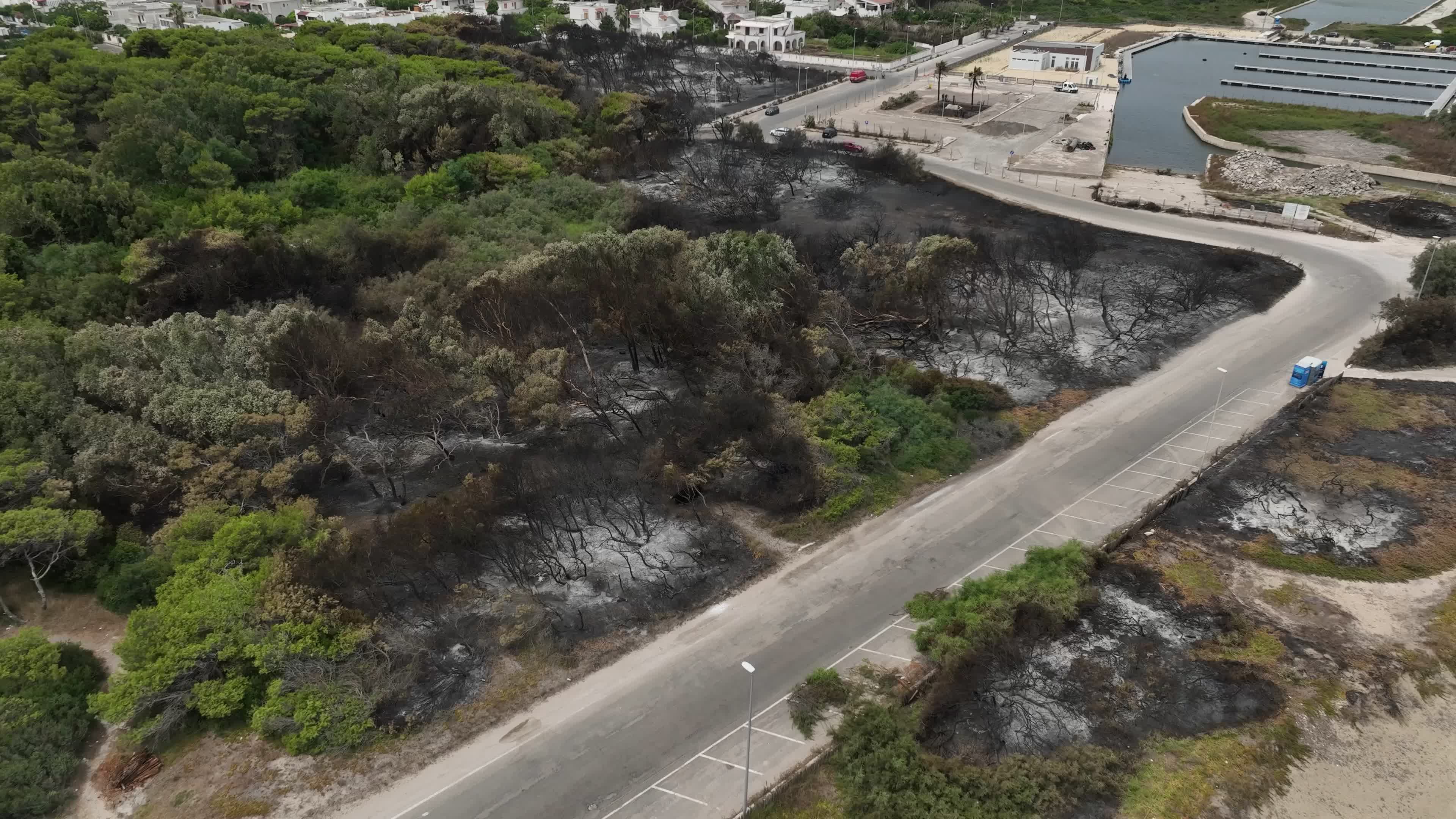 Drone View of Wildfire Aftermath in San Cataldo, Lecce
