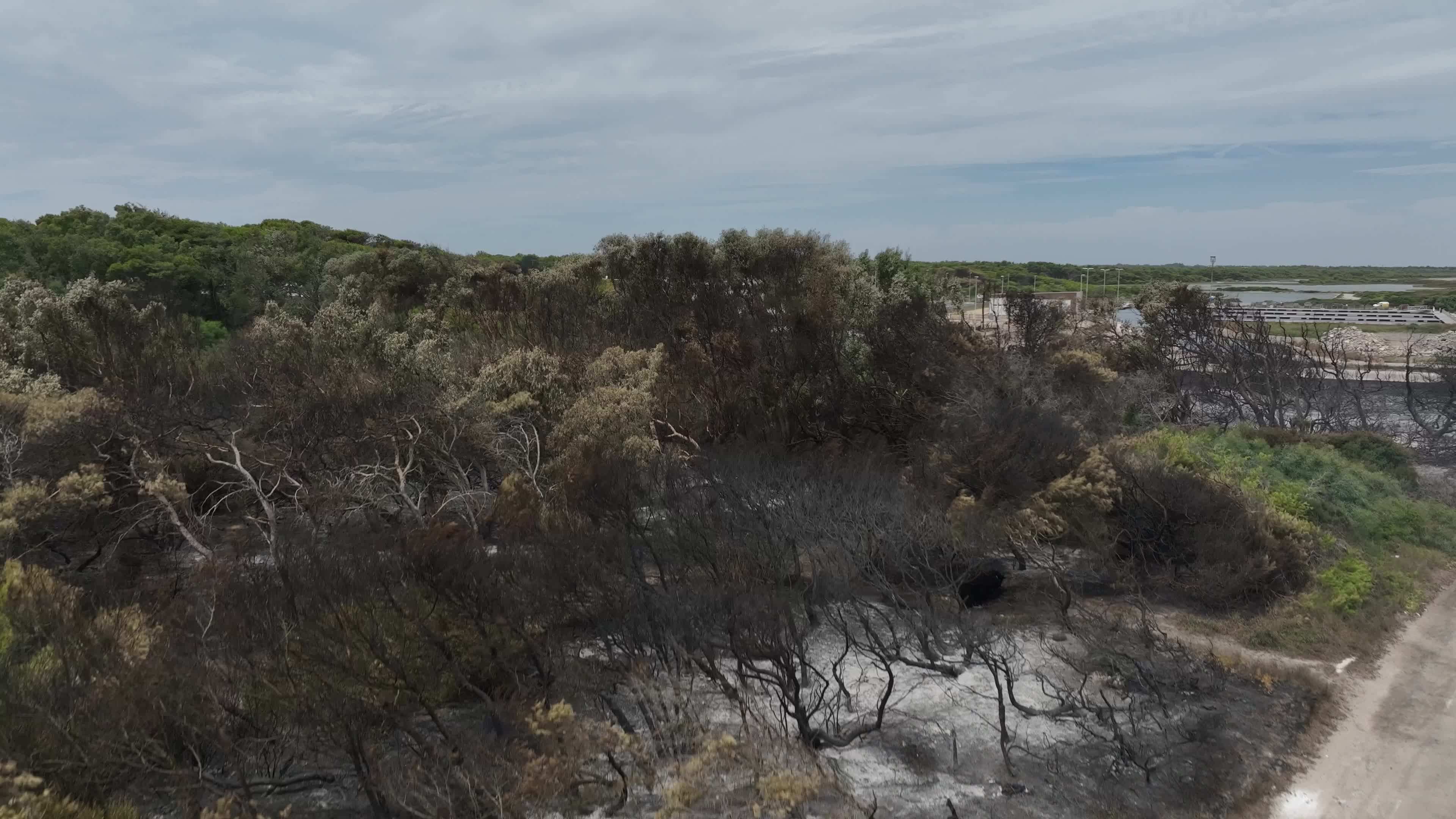 Drone View of Wildfire Aftermath in San Cataldo, Lecce