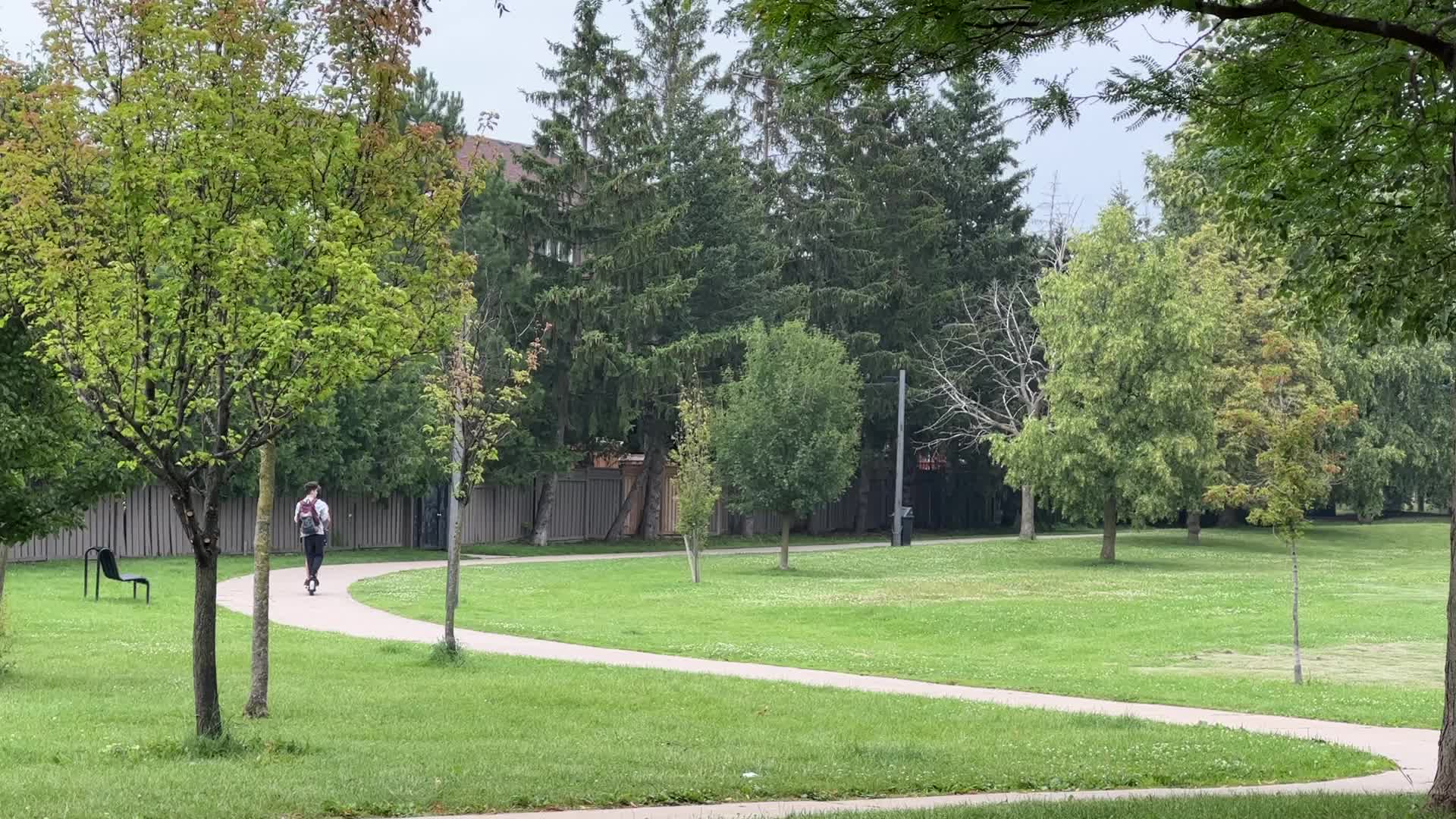 Summer Season in Toronto, Canada