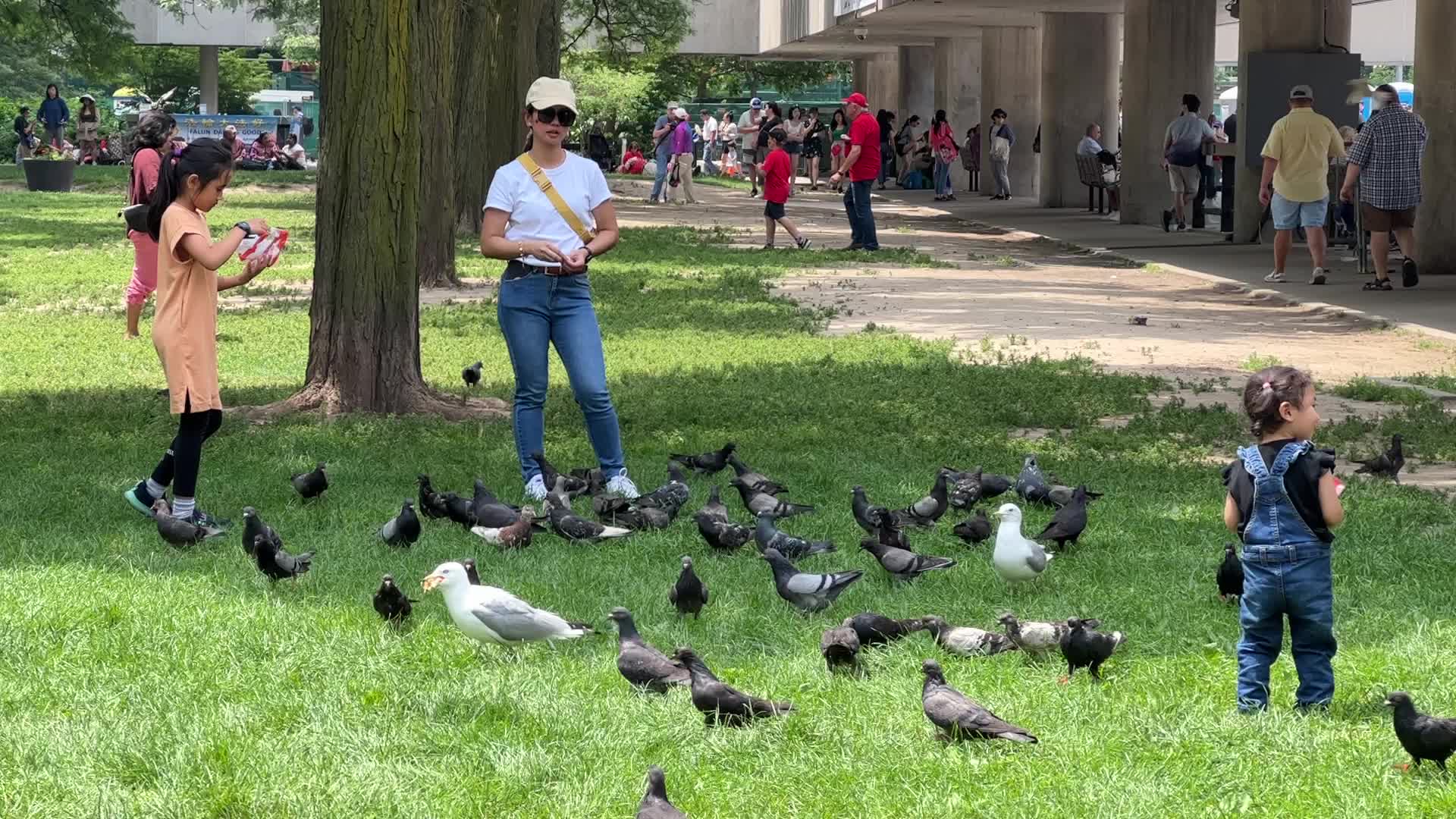 Summer Season in Toronto, Canada