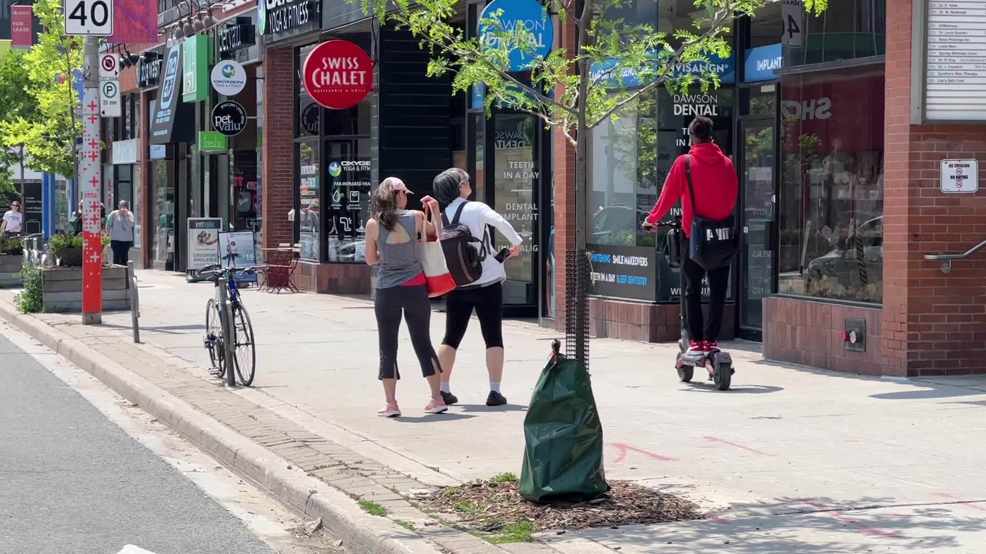 Summer Season in Toronto, Canada