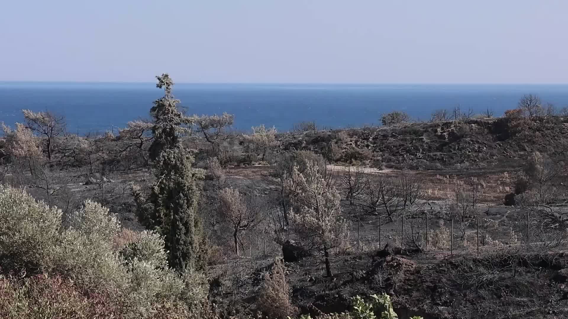 Wildfires Continue To Rage Across Greek Island of Rhodes