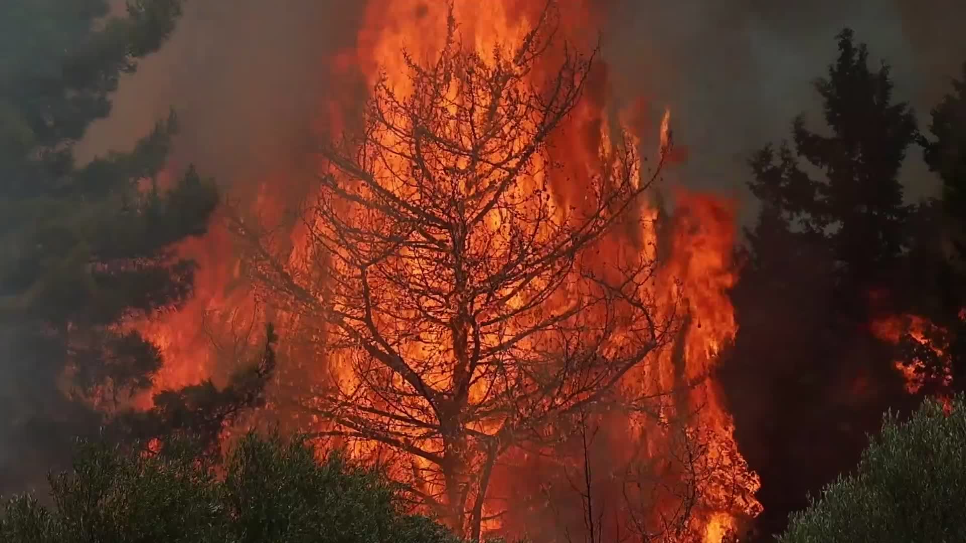 Wildfires Continue To Rage Across Greek Island of Rhodes