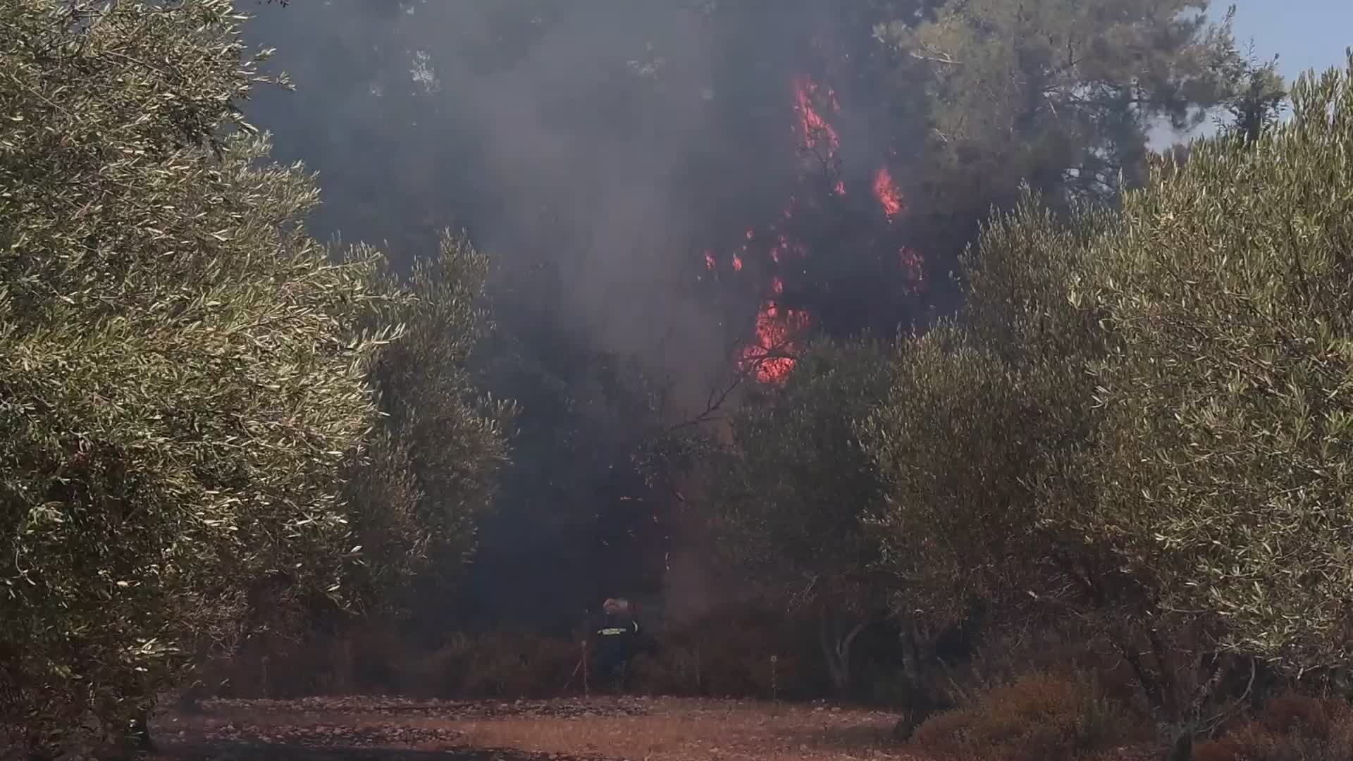 Wildfires Continue To Rage Across Greek Island of Rhodes