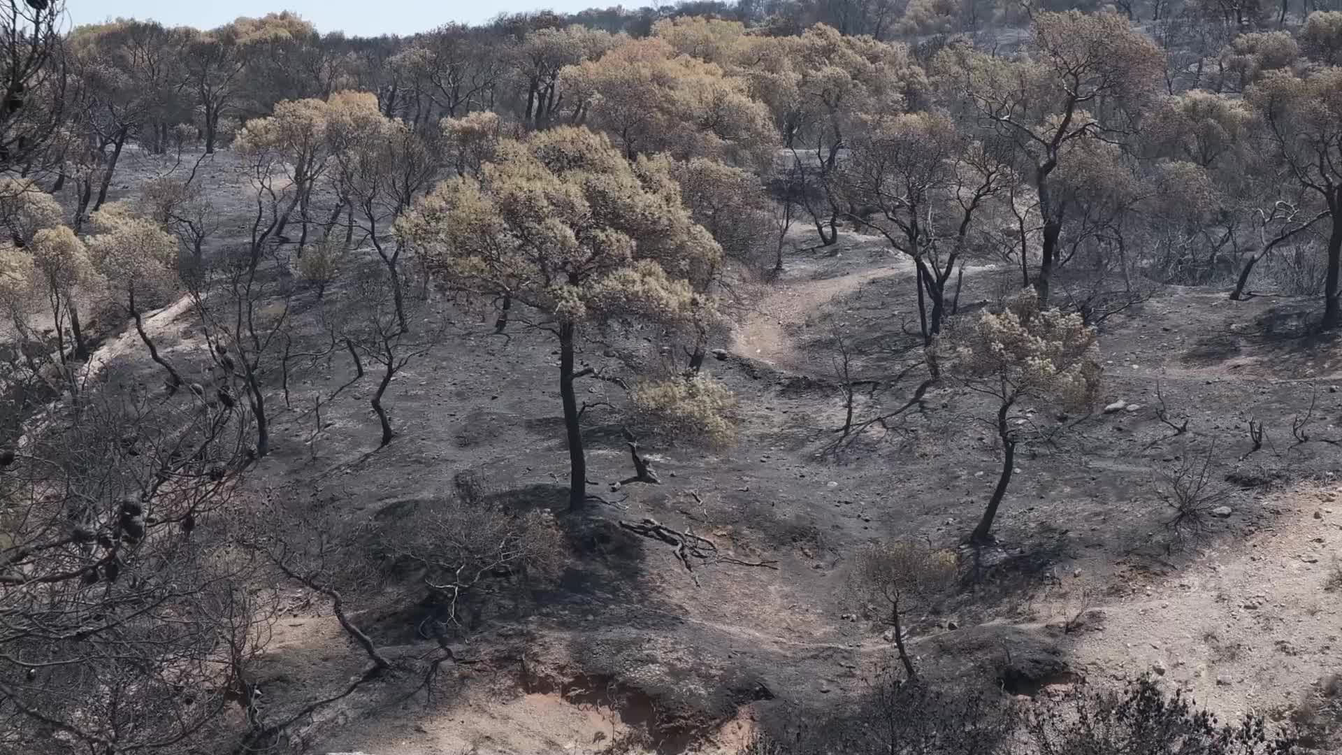 Wildfire In Kalithea Loutrakiou In Loutraki Area