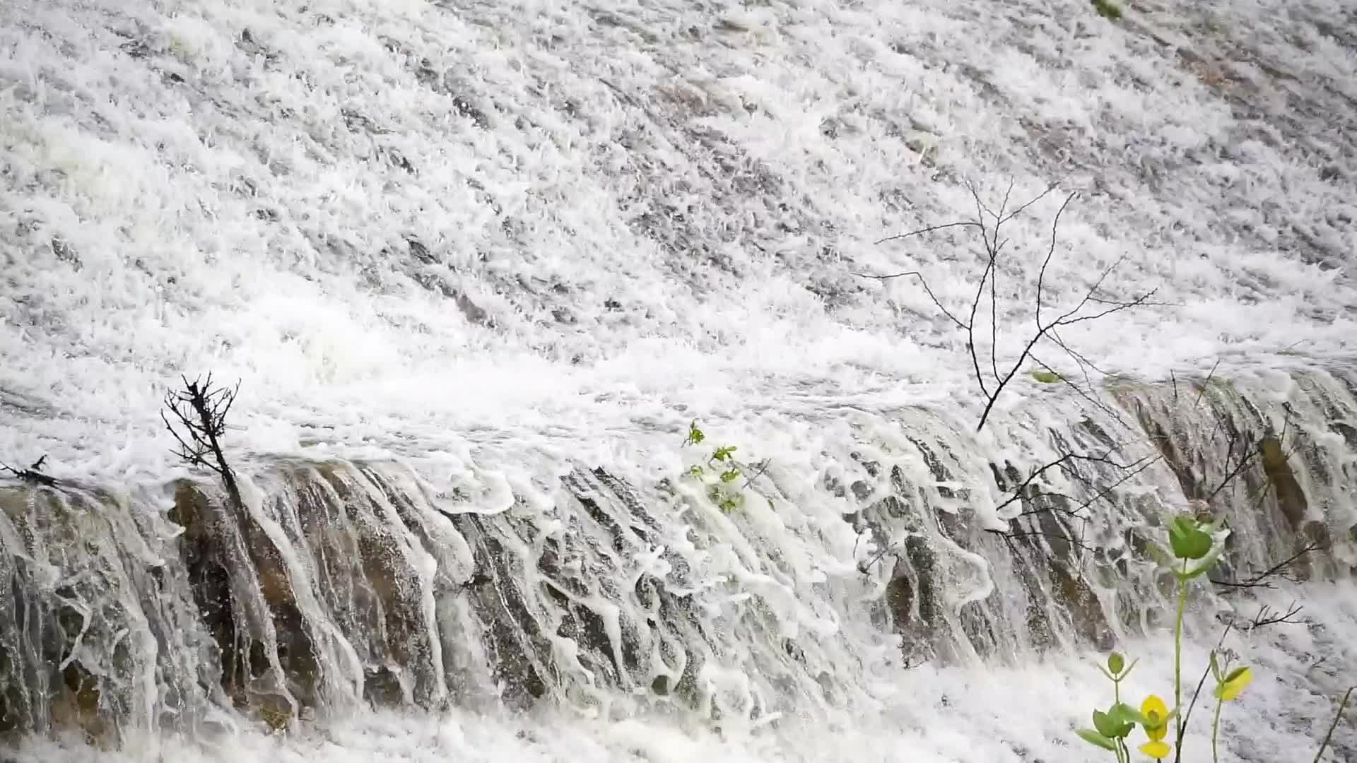 Monsoon Rain In India