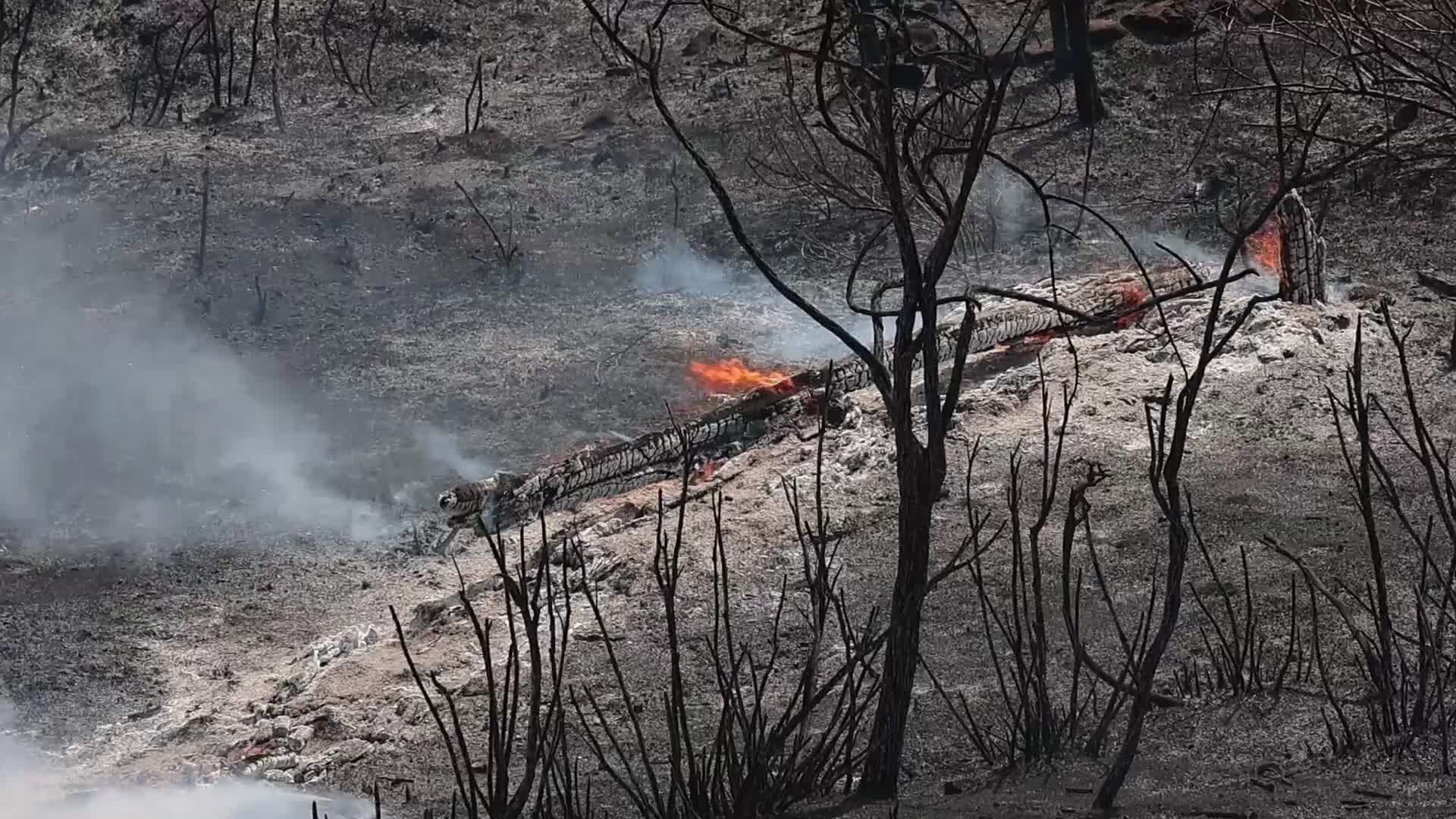 Wildfires Continue In The Greek Island Of Rhodes, Greece