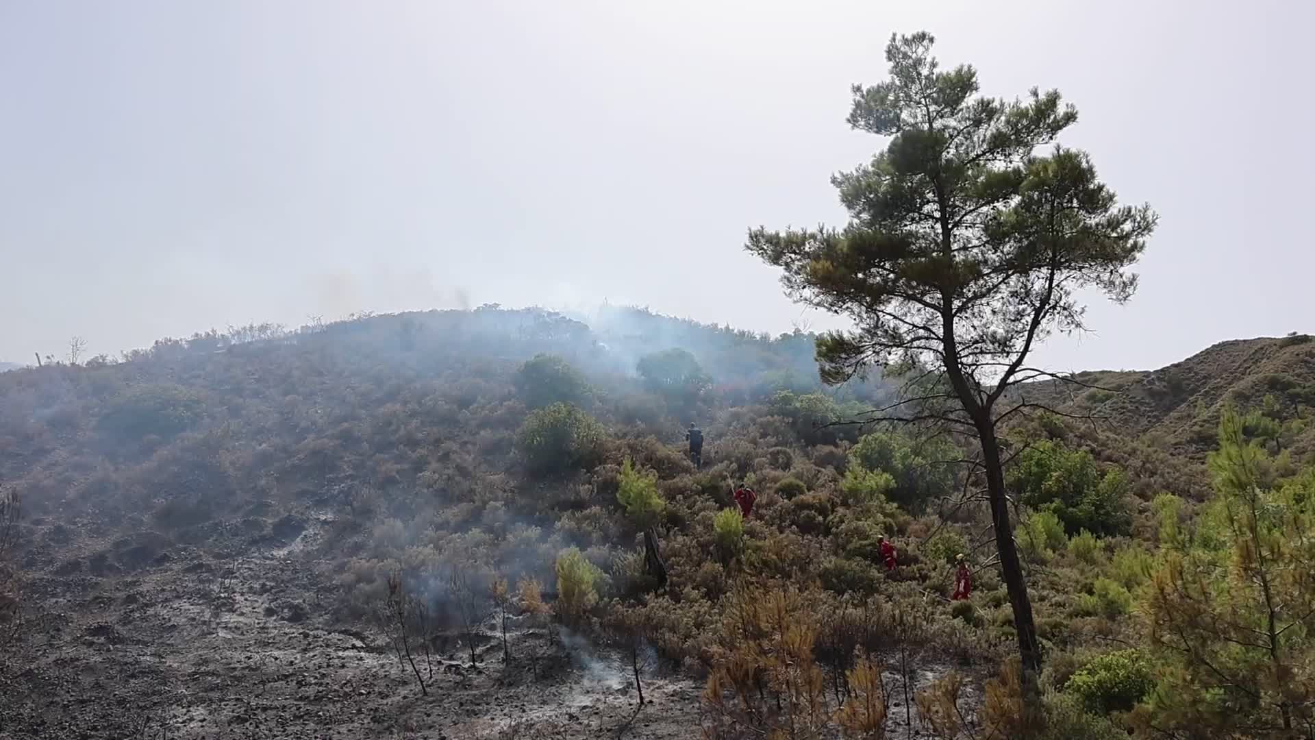 Wildfires Continue In The Greek Island Of Rhodes, Greece