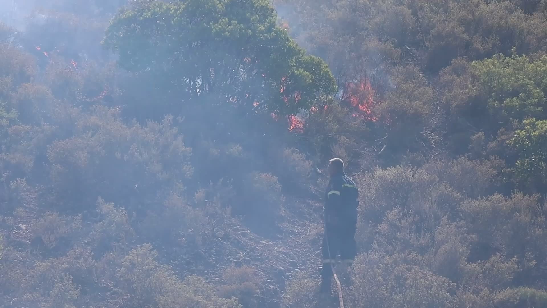 Wildfires Continue In The Greek Island Of Rhodes, Greece