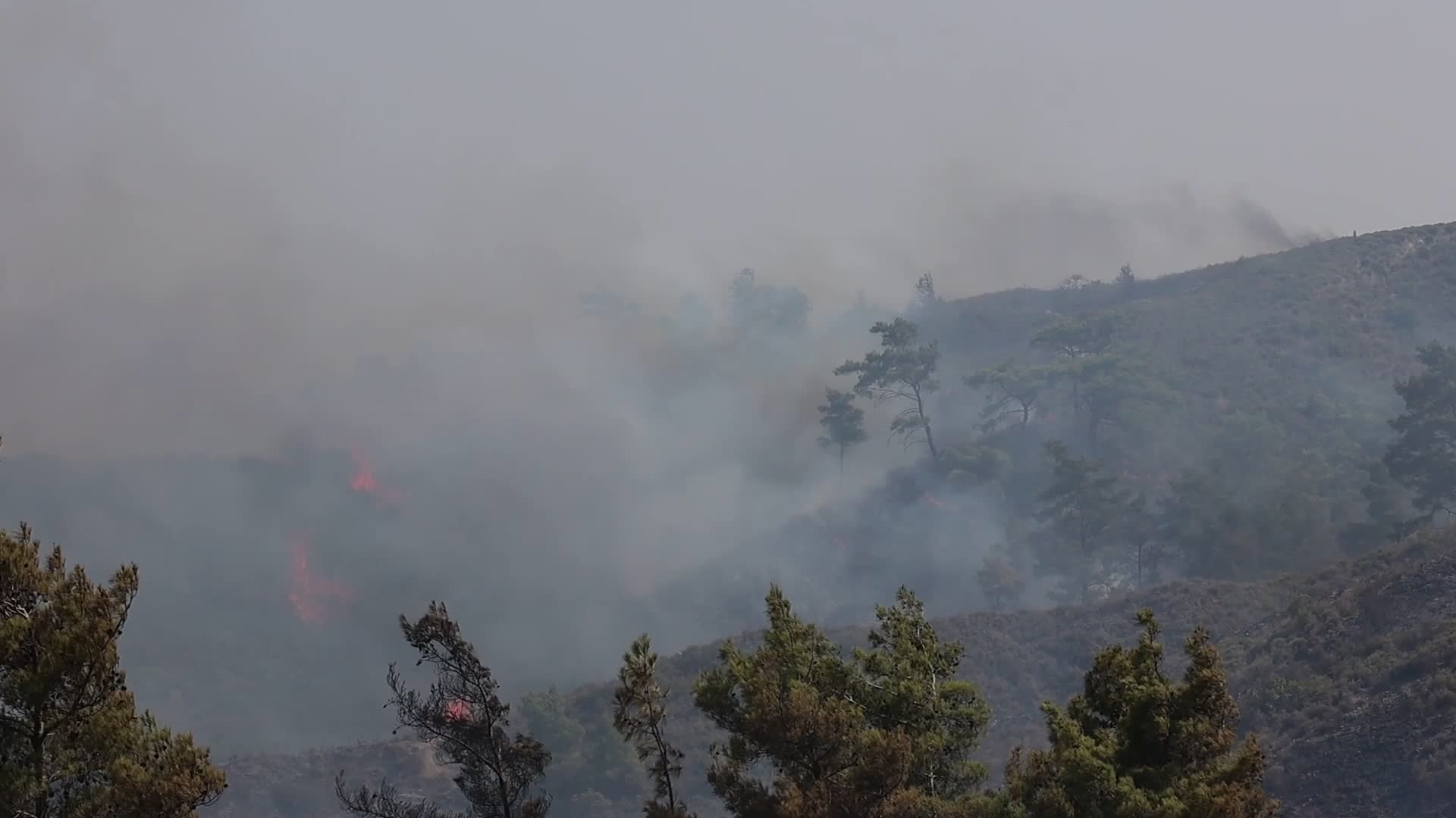 Wildfires Continue In The Greek Island Of Rhodes, Greece
