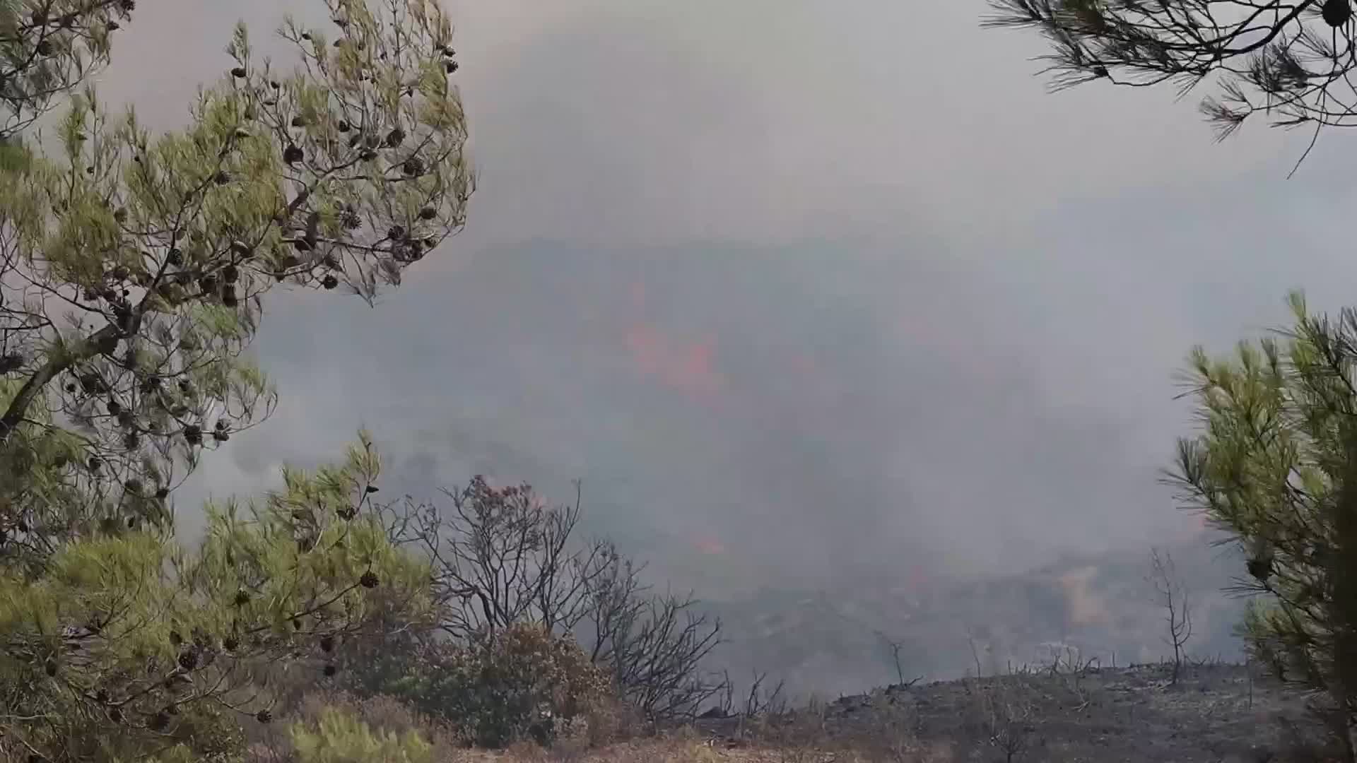 Wildfires Continue In The Greek Island Of Rhodes, Greece
