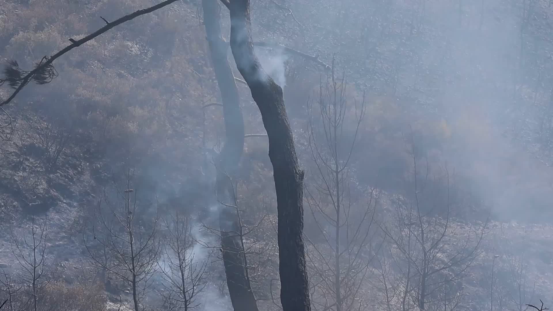 Wildfires Continue In The Greek Island Of Rhodes, Greece