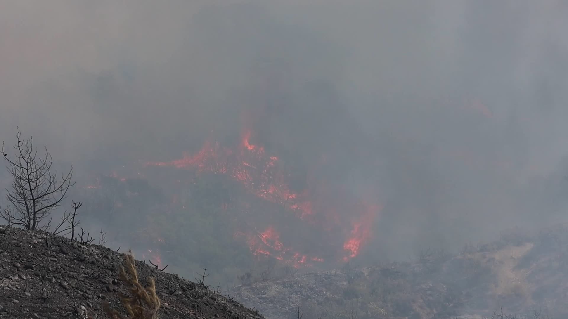 Wildfires Continue In The Greek Island Of Rhodes, Greece