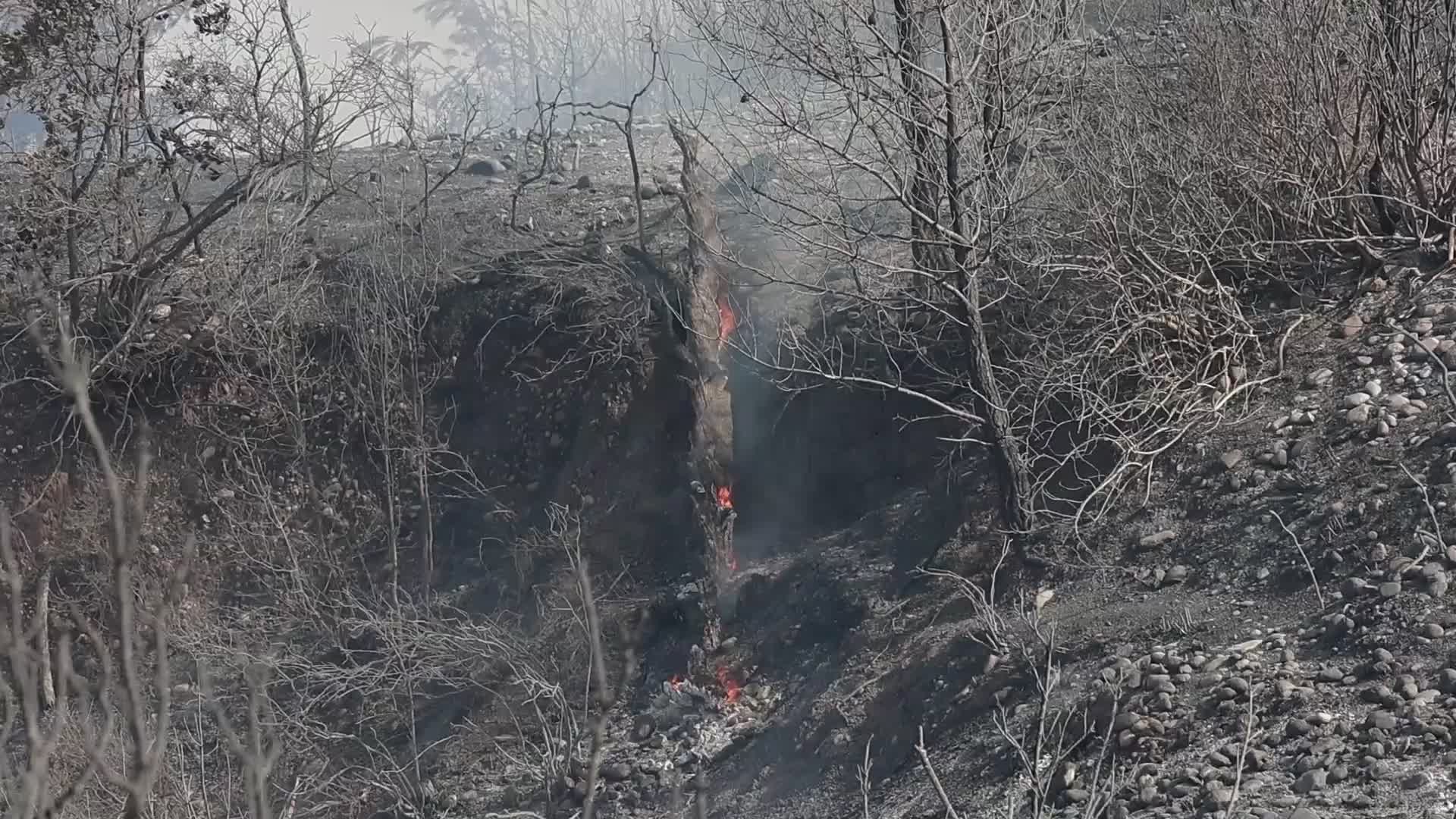 Wildfires Continue In The Greek Island Of Rhodes, Greece