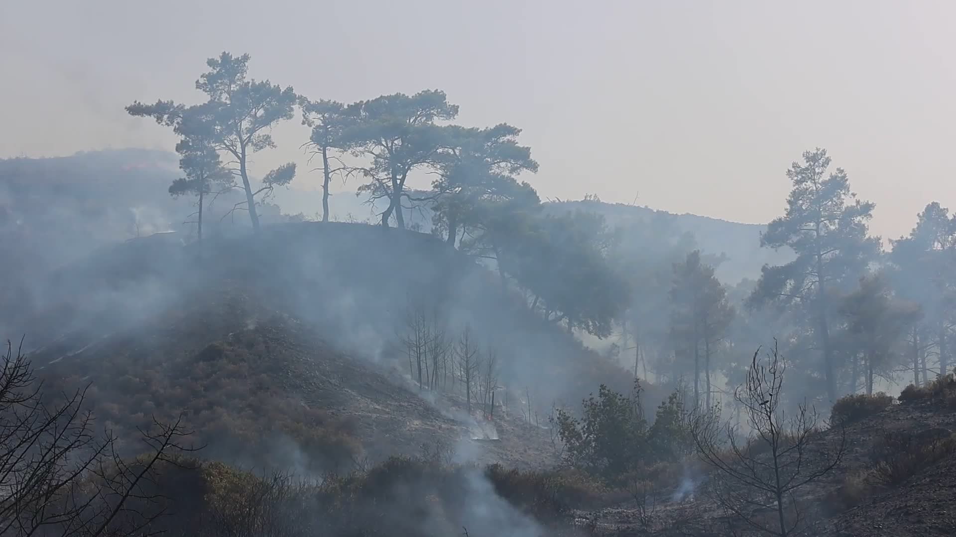 Wildfires Continue In The Greek Island Of Rhodes, Greece