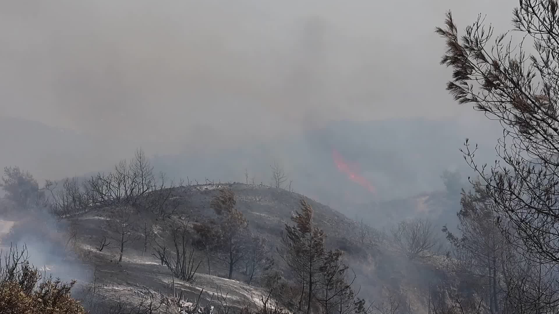 Wildfires Continue In The Greek Island Of Rhodes, Greece