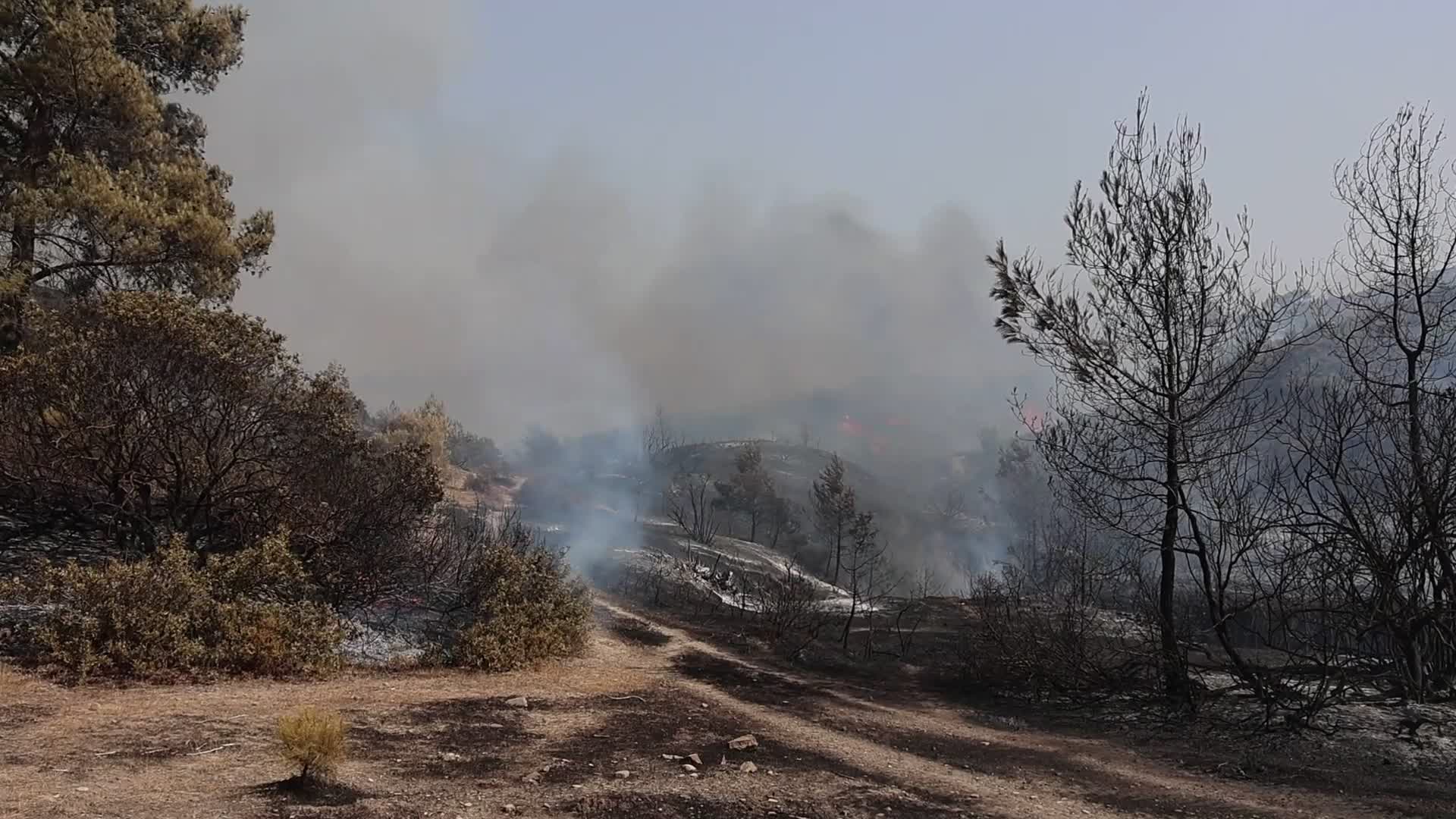 Wildfires Continue In The Greek Island Of Rhodes, Greece