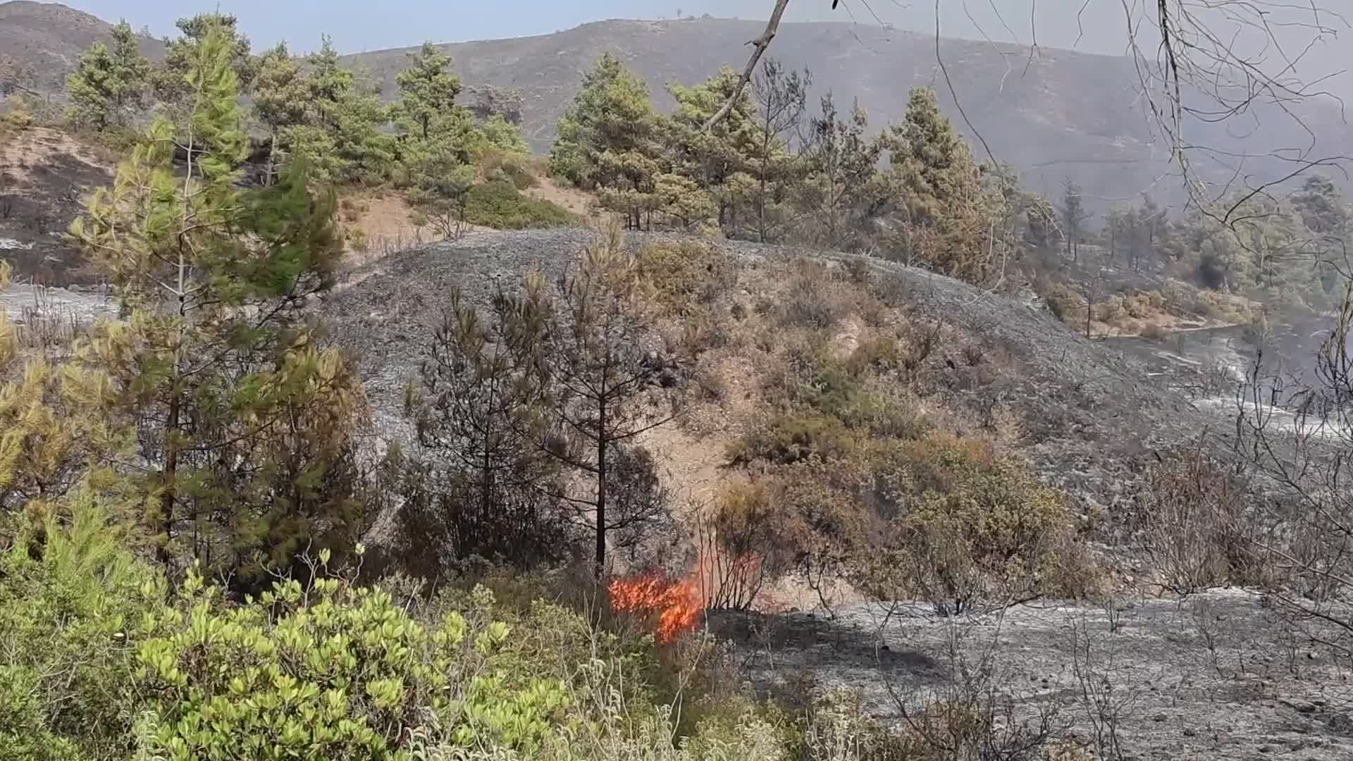Wildfires Continue In The Greek Island Of Rhodes, Greece