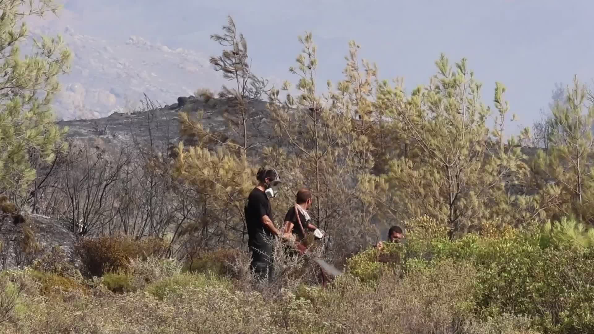 Wildfires Continue In The Greek Island Of Rhodes, Greece