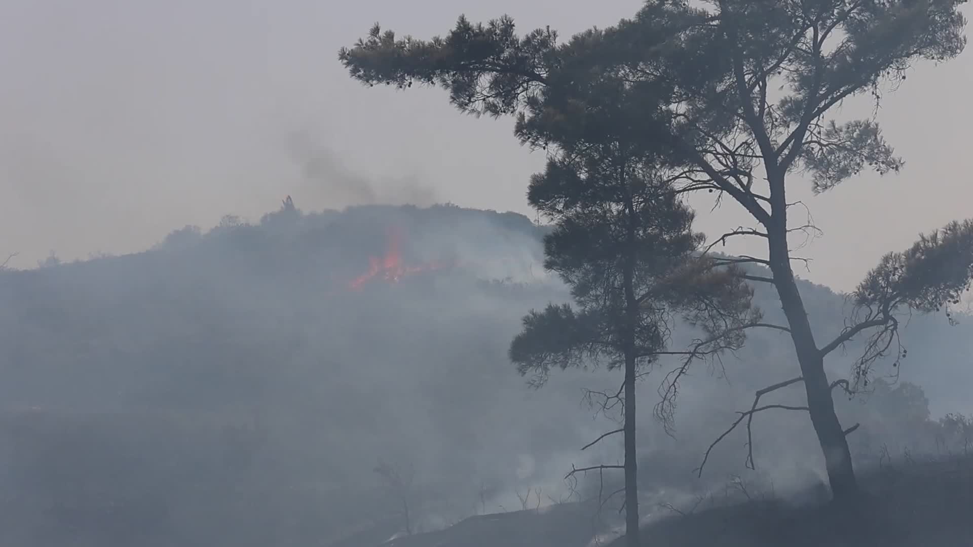 Wildfires Continue In The Greek Island Of Rhodes, Greece