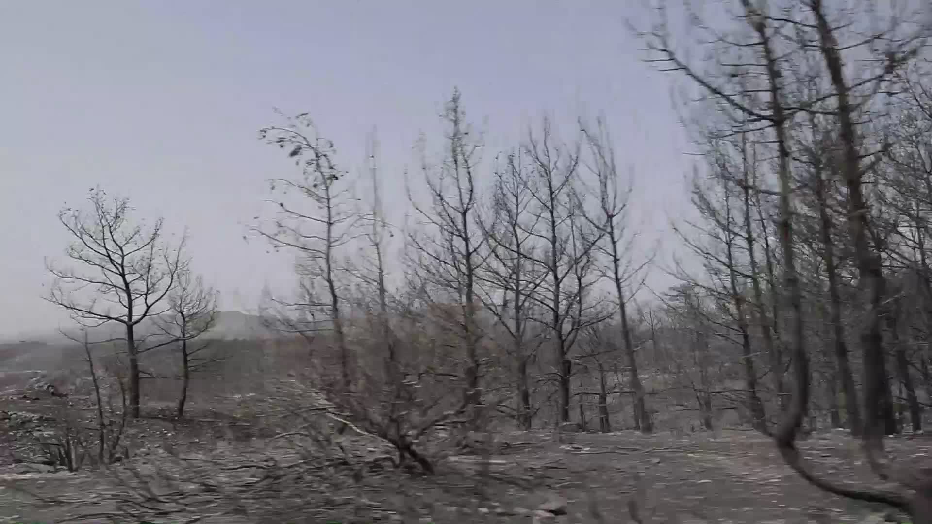 Wildfires Continue In The Greek Island Of Rhodes, Greece