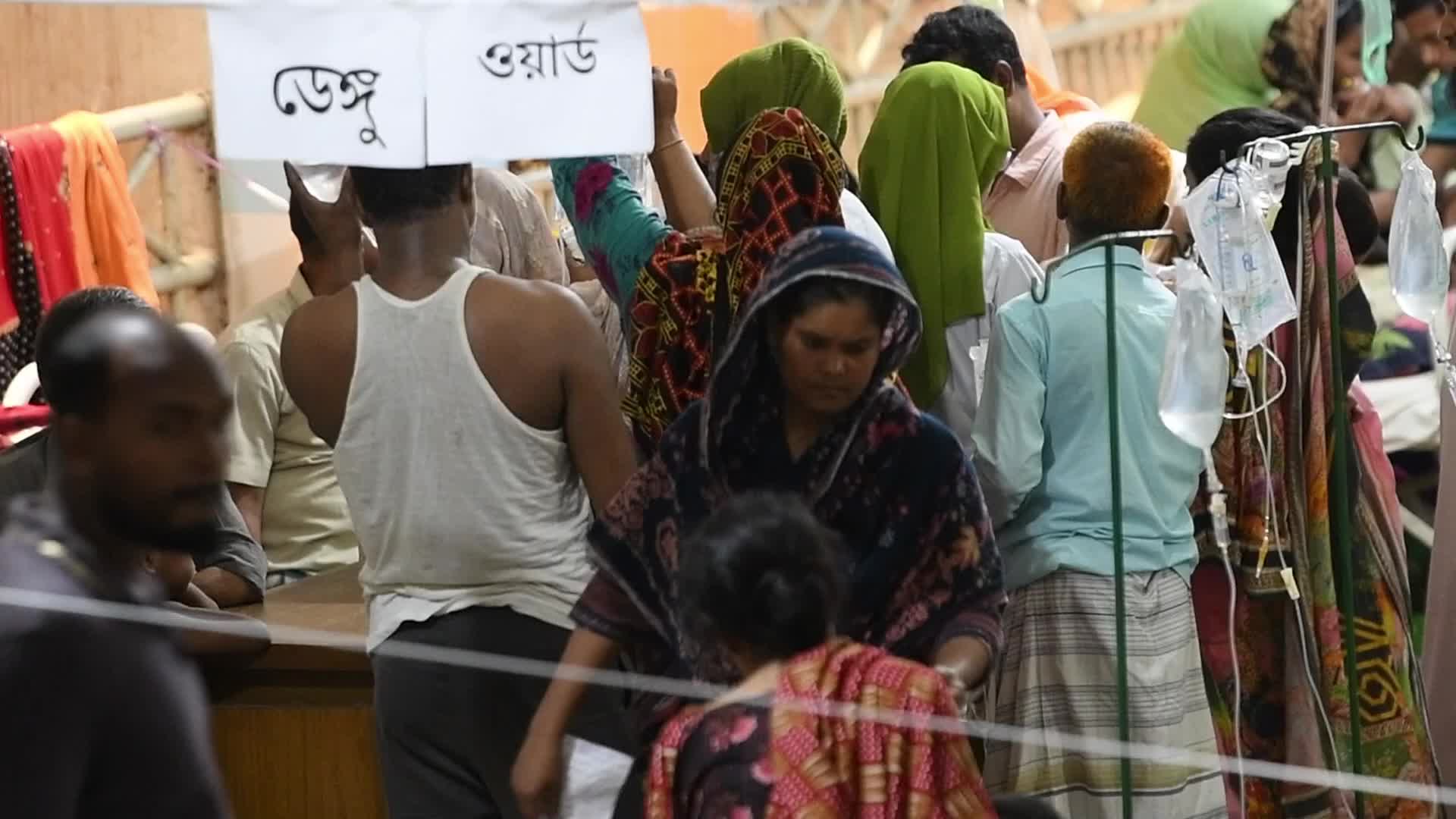 Dengue outbreak in Bangladesh