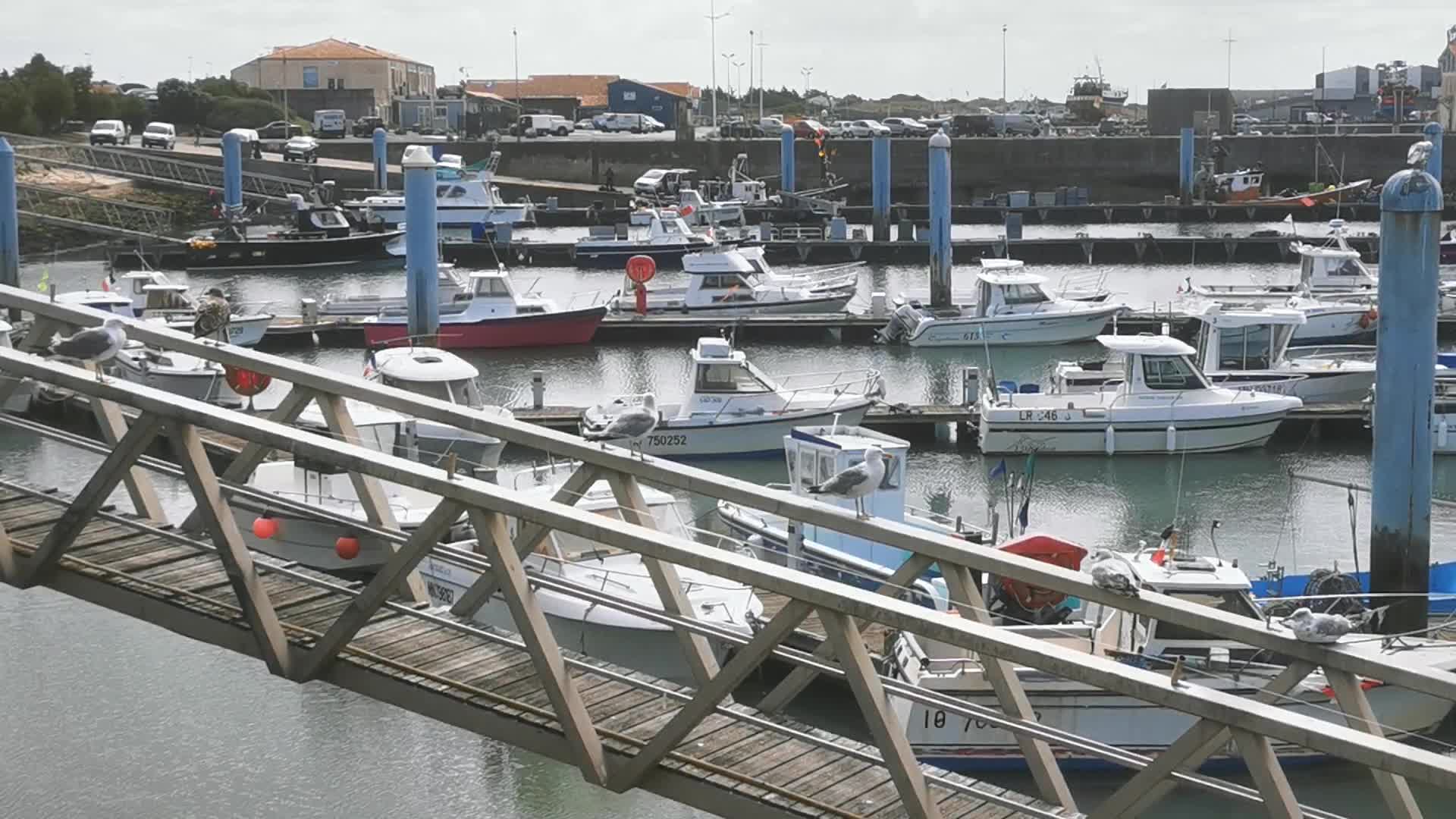 Daily life in the touristic island of Oleron in France