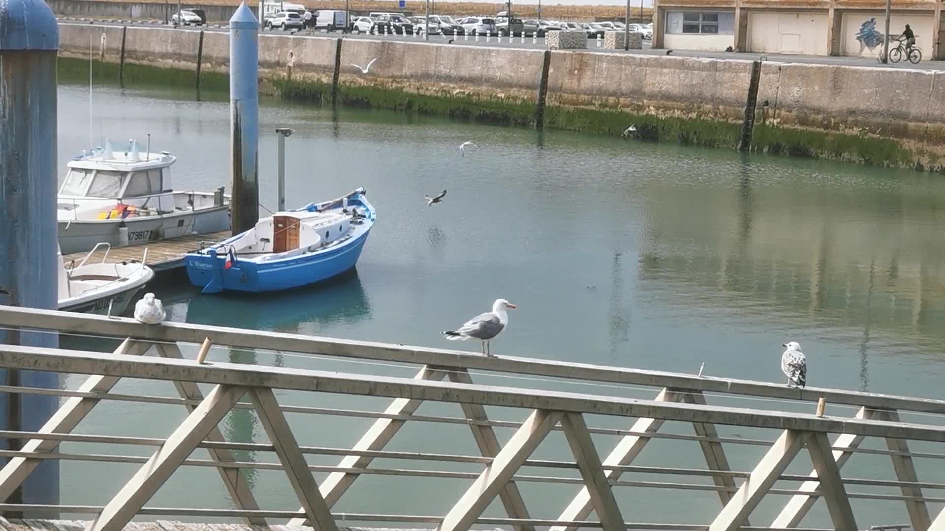 Daily life in the touristic island of Oleron in France