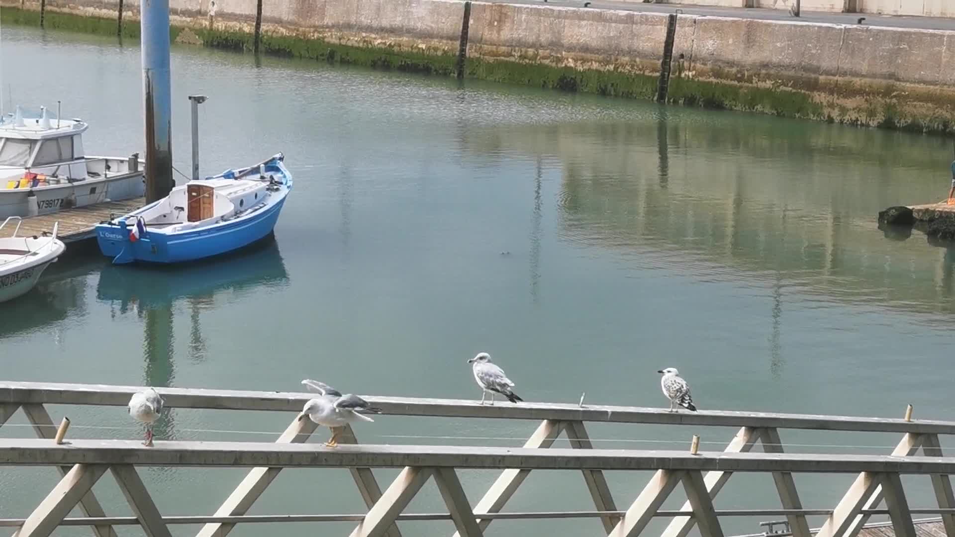 Daily life in the touristic island of Oleron in France