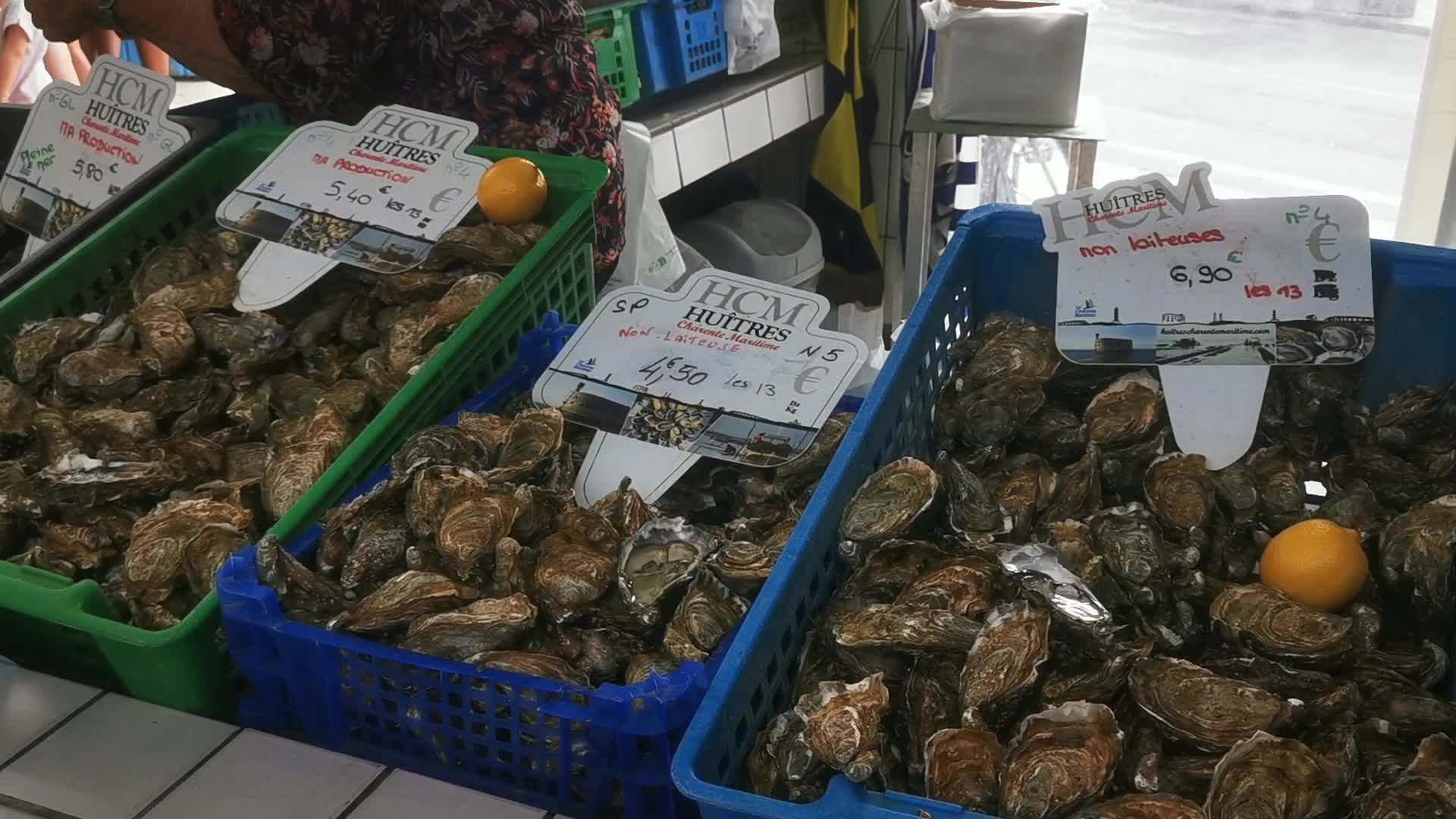 Daily life in the touristic island of Oleron in France