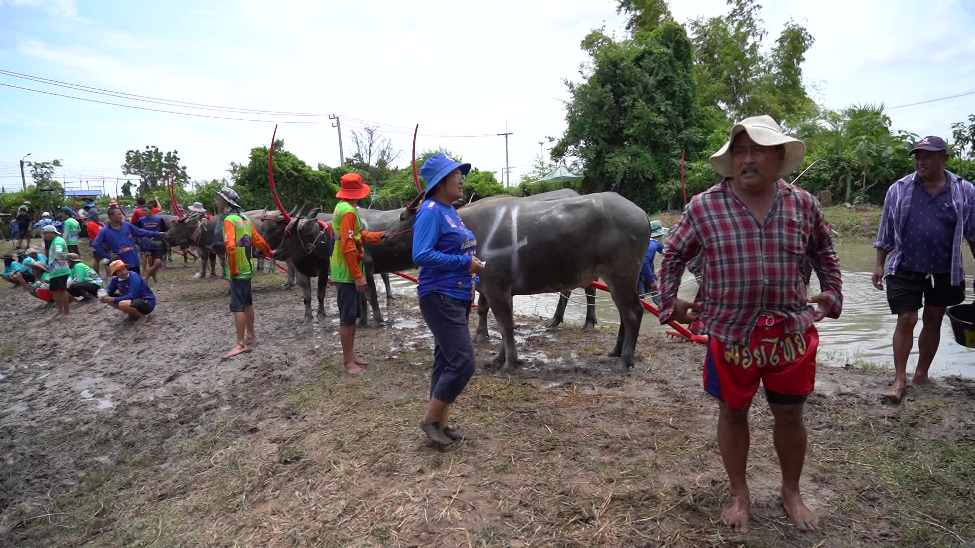 Water Buffalo Racing Festival 2023.