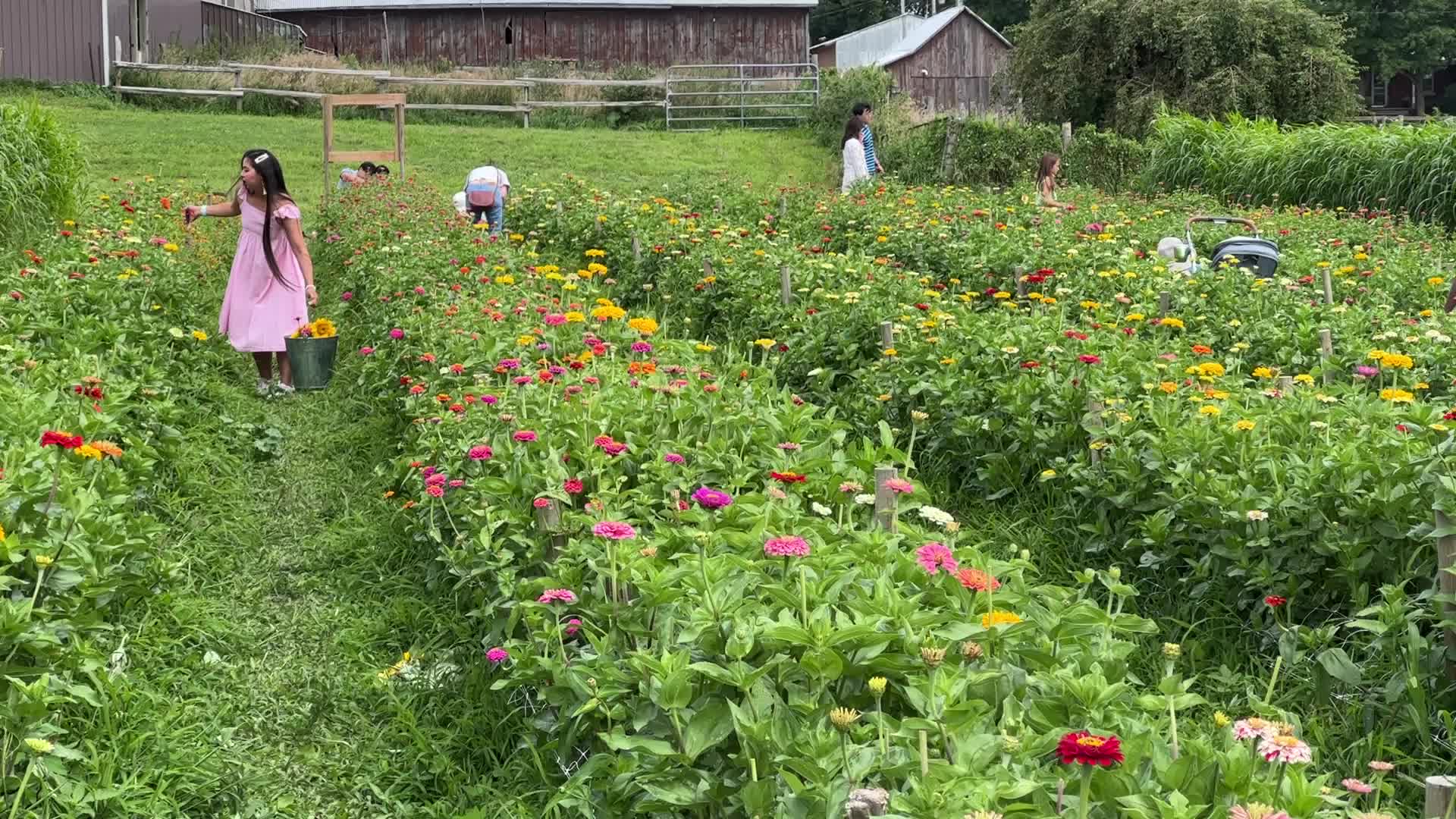 Flower Farm