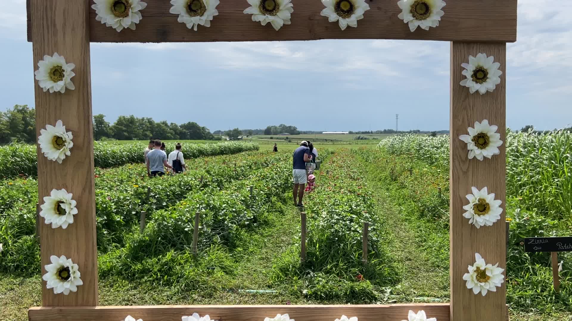 Flower Farm