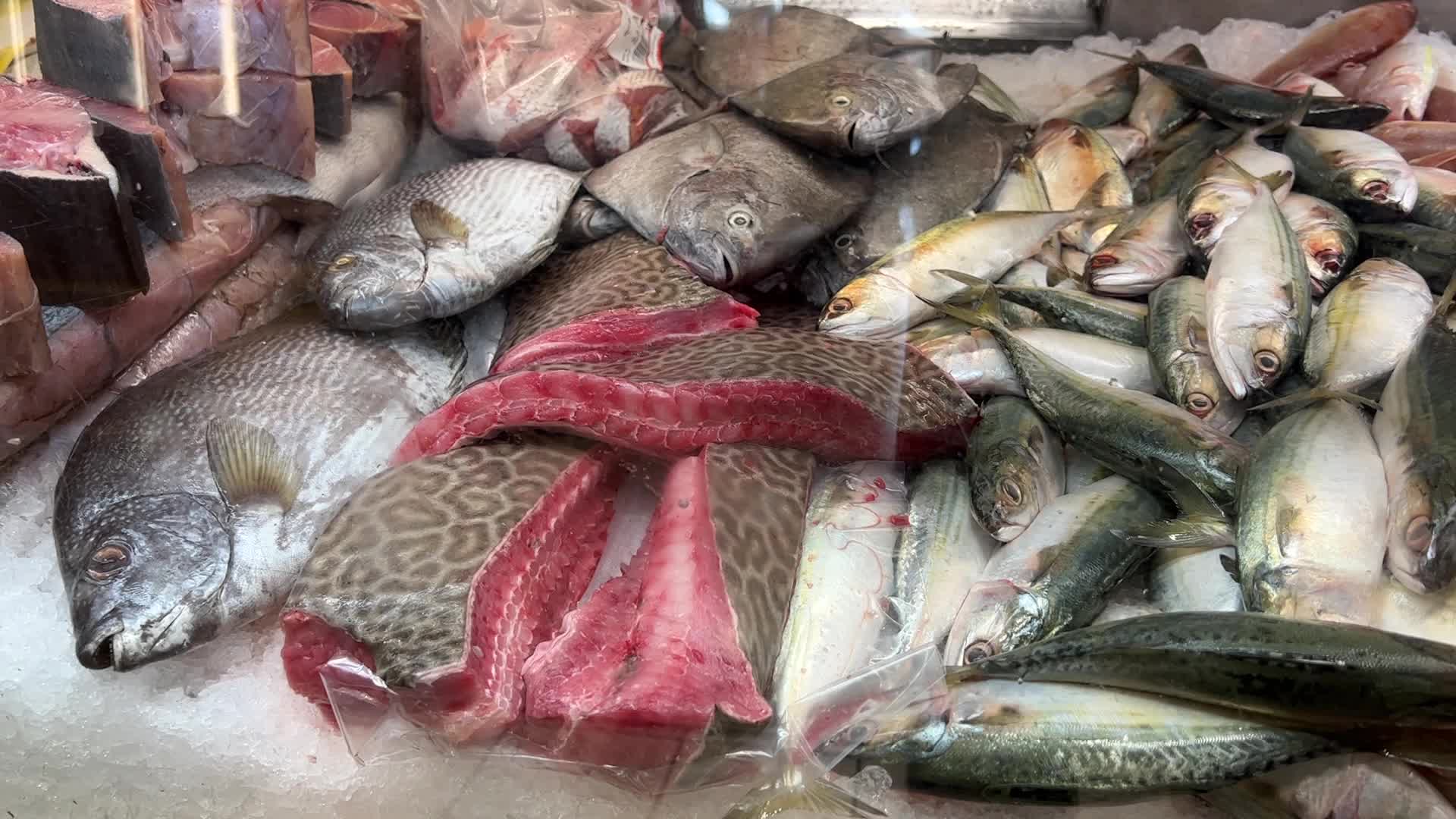Fish displayed at a Sri Lankan fish market