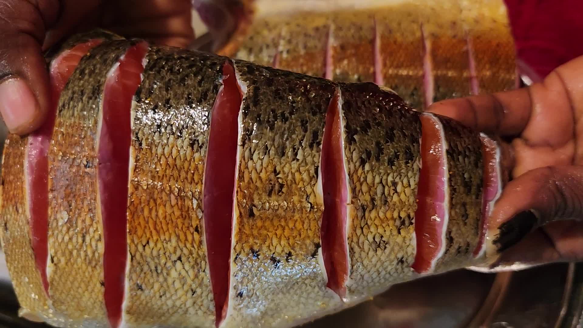 Freshly grilled rainbow trout