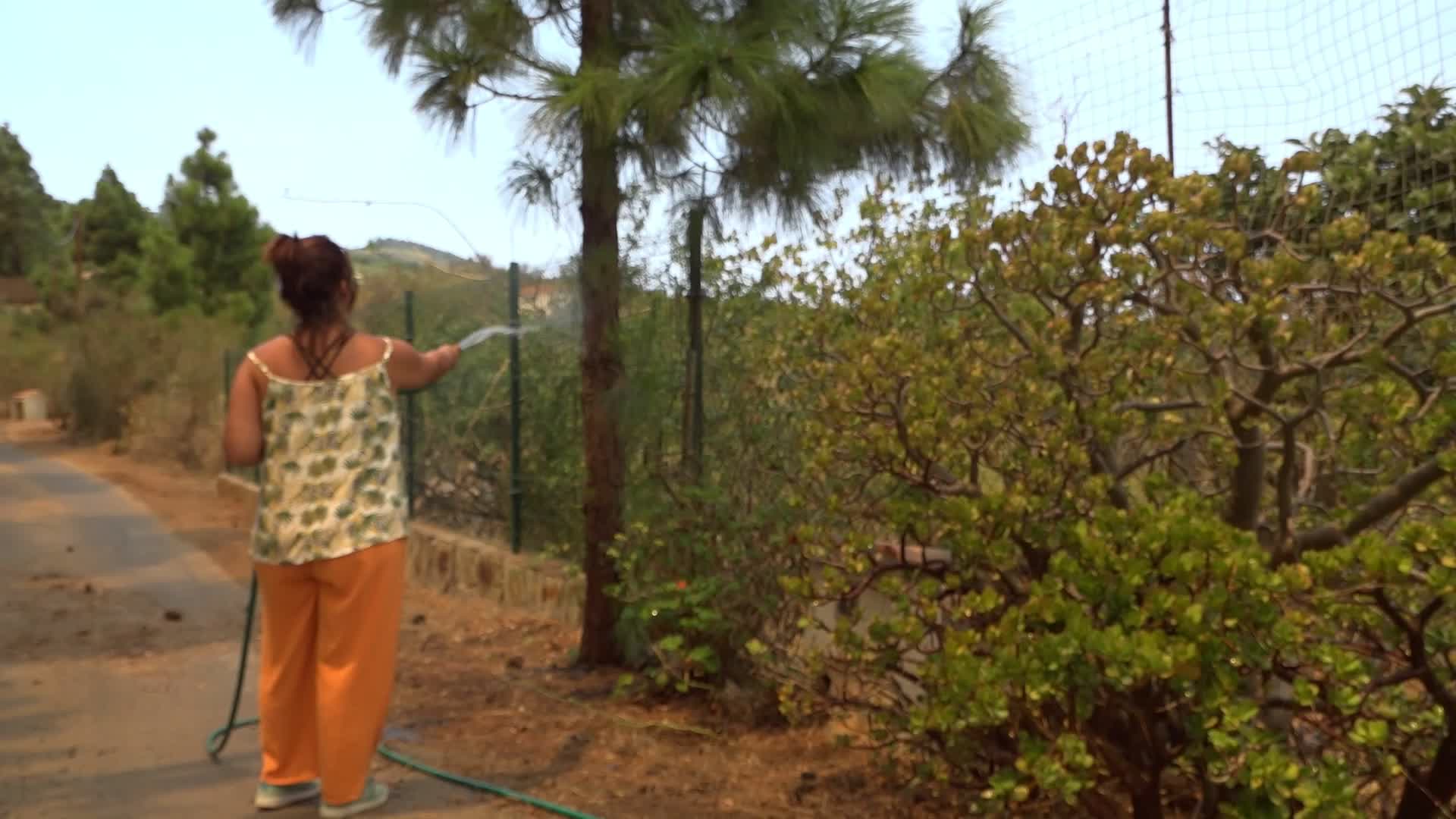 Wildfire On Spain's Tenerife Burning 'Out Of Control'